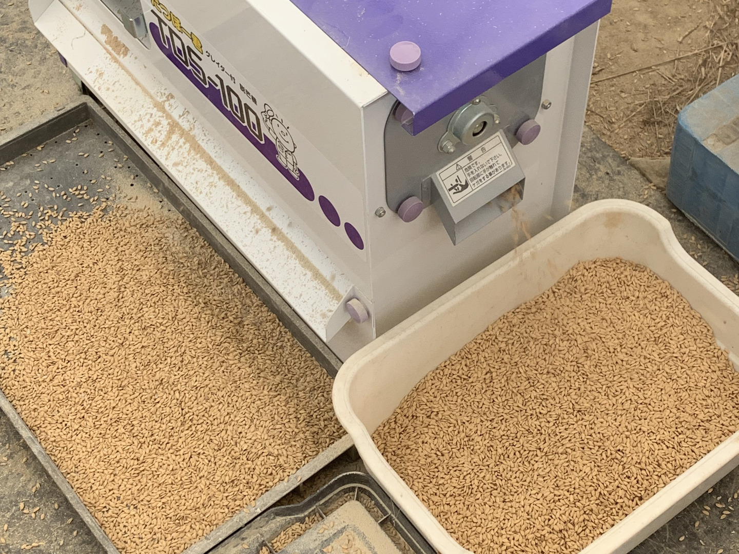 自然栽培もち米玄米 農薬肥料不使用の自然栽培【ヒヨクモチ】令 自然栽培もち米玄米 農薬肥料不使用の自然栽培【ヒヨクモチ】令