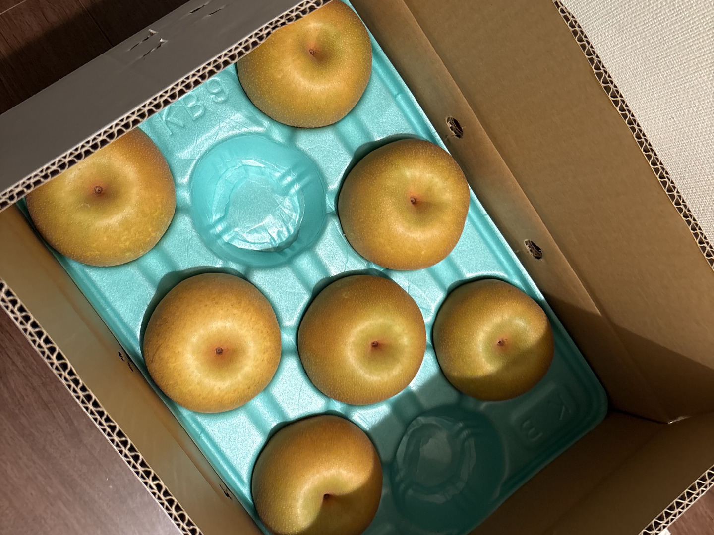 ご予約品》【大玉サイズ】定番の美味しさ！みんな大好き幸水梨(5kg