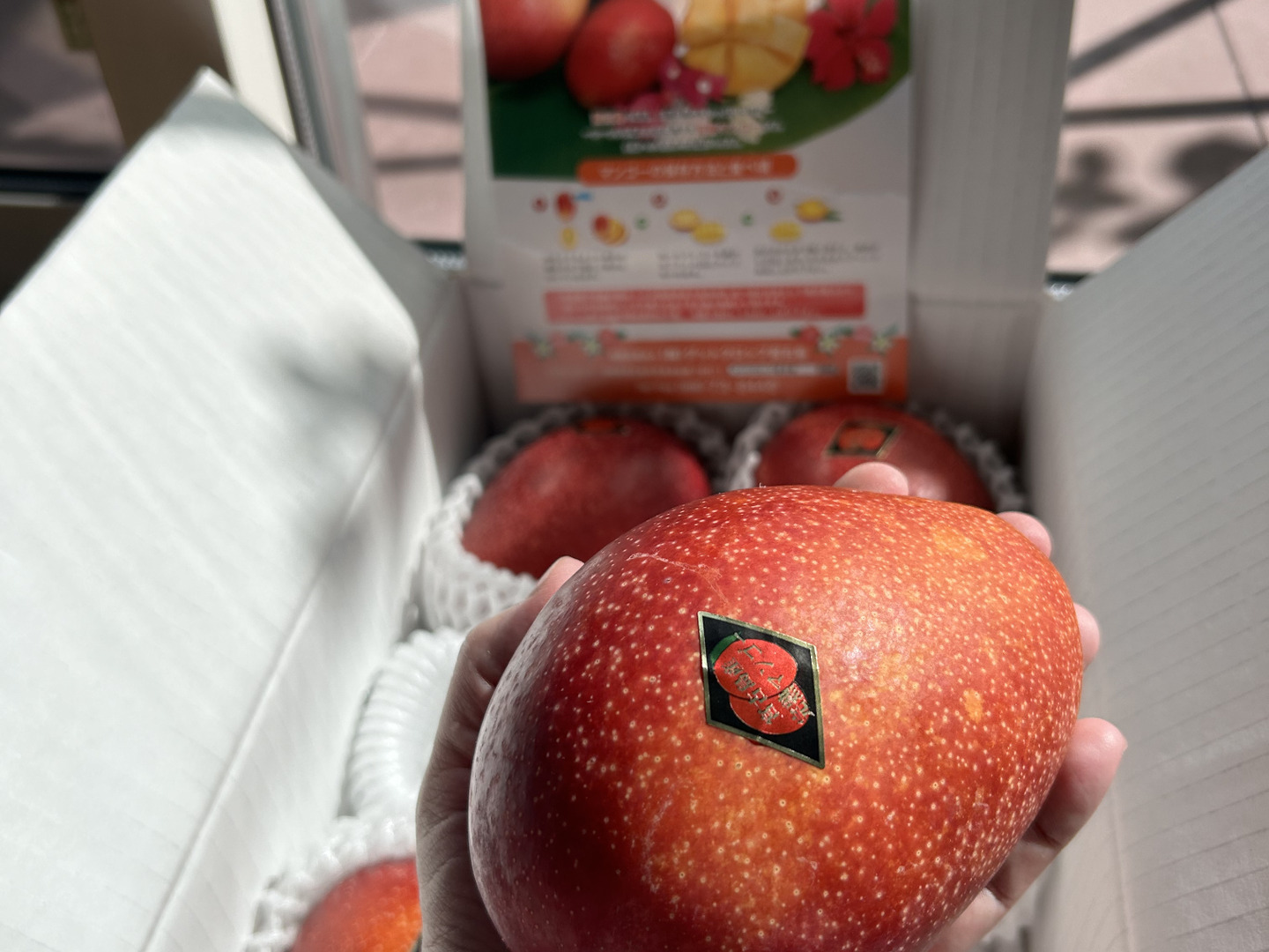 ❣️cielo 様用 【ご自宅用】宮古島産 マンゴー 2kg