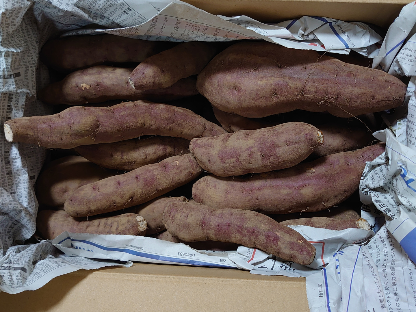 熟成さつまいも！ホクホク紅あずま！(4.8kg)【農薬不使用】：茨城県産