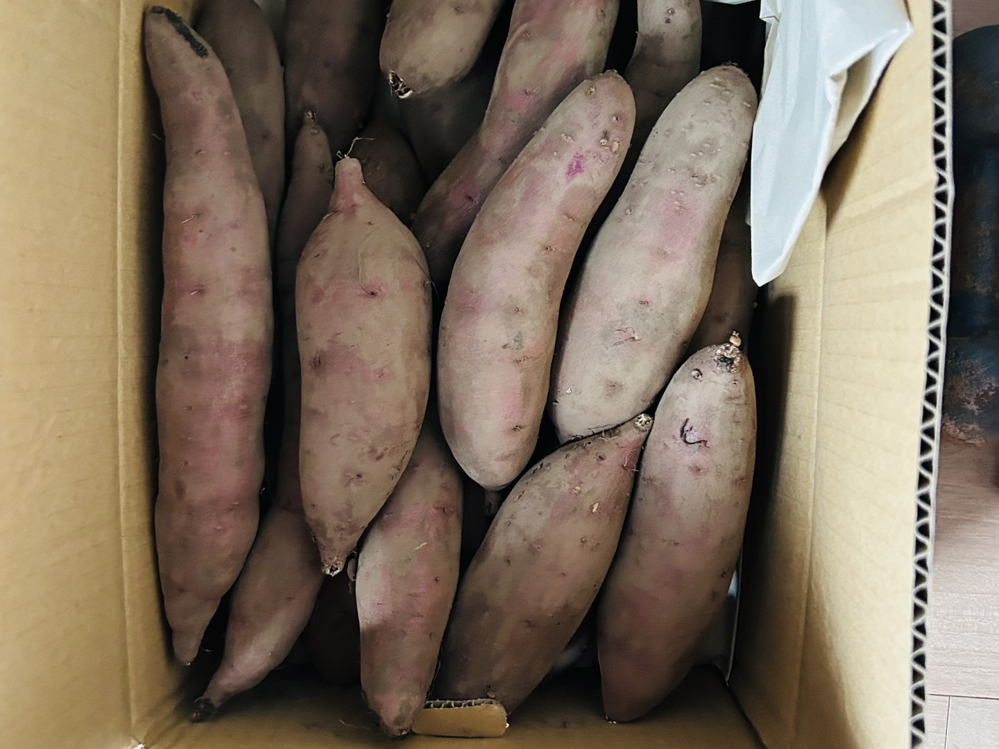 有機JAS認定】【5kg】小ぶりでかわいいさつまいも「紅はるか」S 有機JAS認定】【5kg】小ぶりでかわいいさつまいも「紅はるか」S