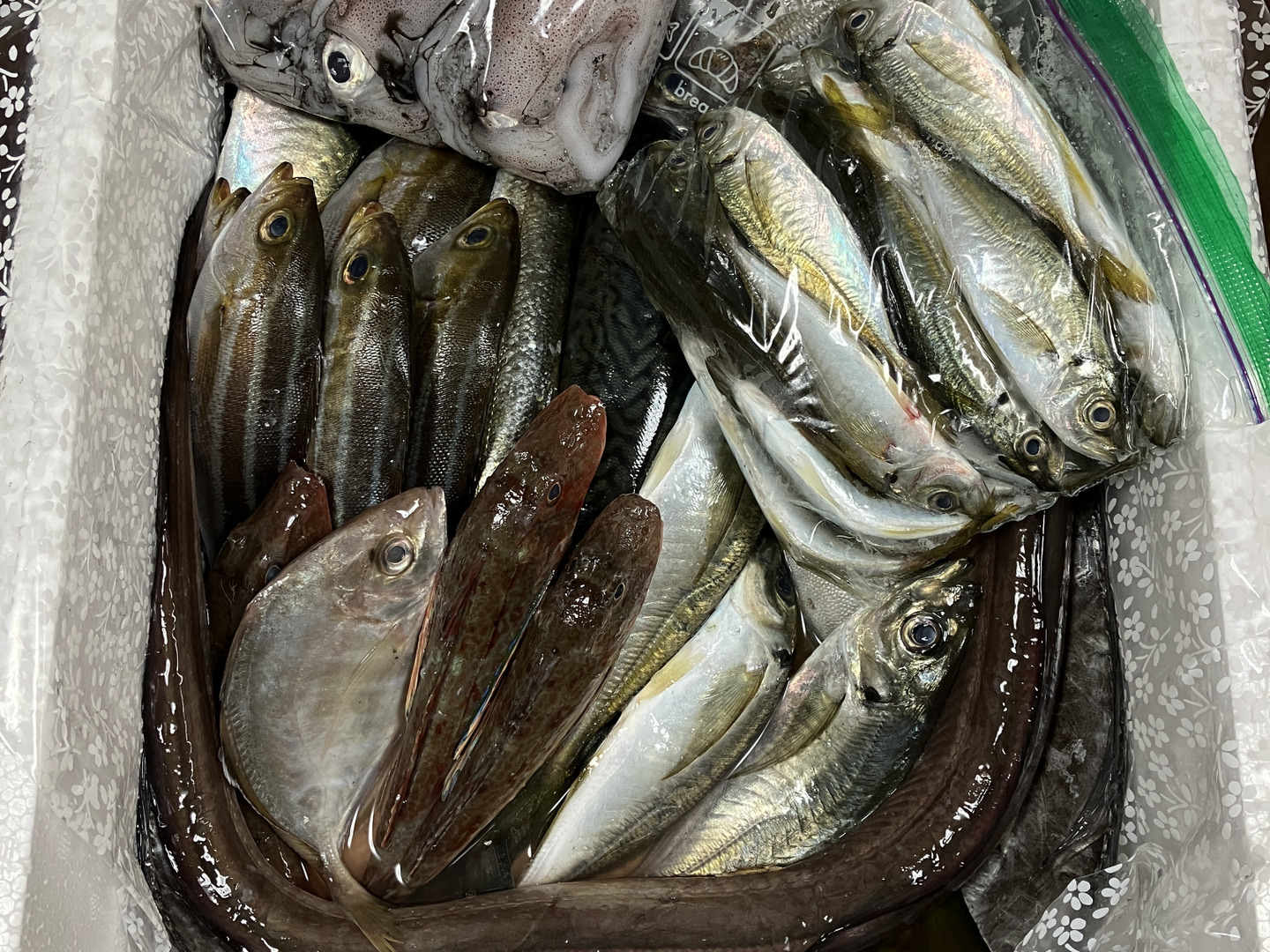 【35％OFF】 ⭐︎夏季限定⭐︎【未利用魚】漁師直送！季節のおさかなセット 人形