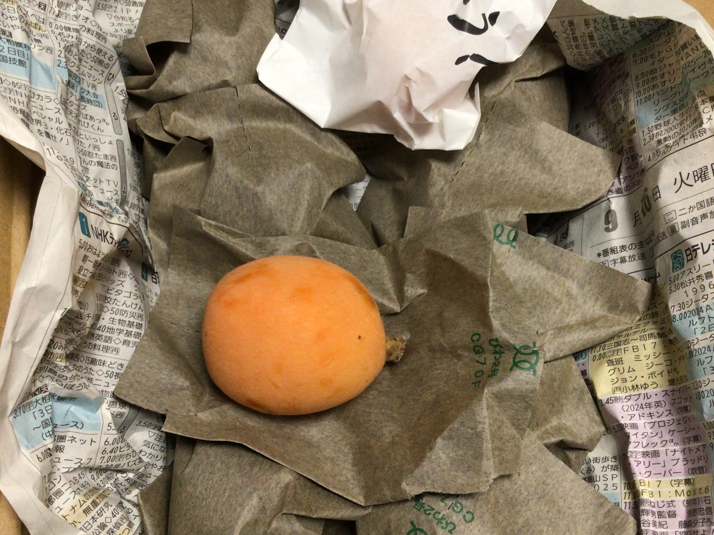ご自宅向け】農薬化学肥料不使用のびわ（500g以上）：千葉県産のその他