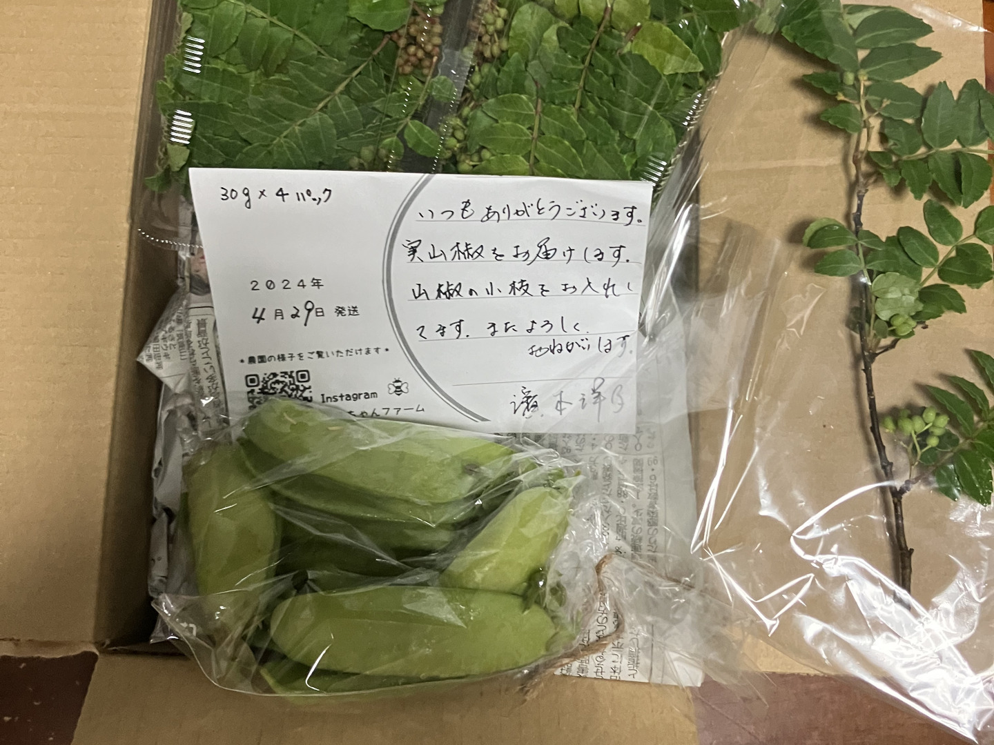 40.岡山県産 山椒の実 4キロ