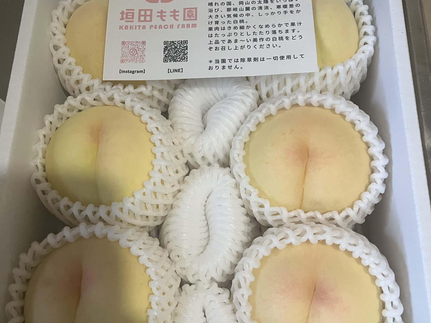 211.中国地方クール便専用朝採り完熟桃箱込み5kg +大玉梨箱込み5kg家庭用 幸水梨（家庭用） 約5kg(10～18玉) ※お届けは8月7日前後から
