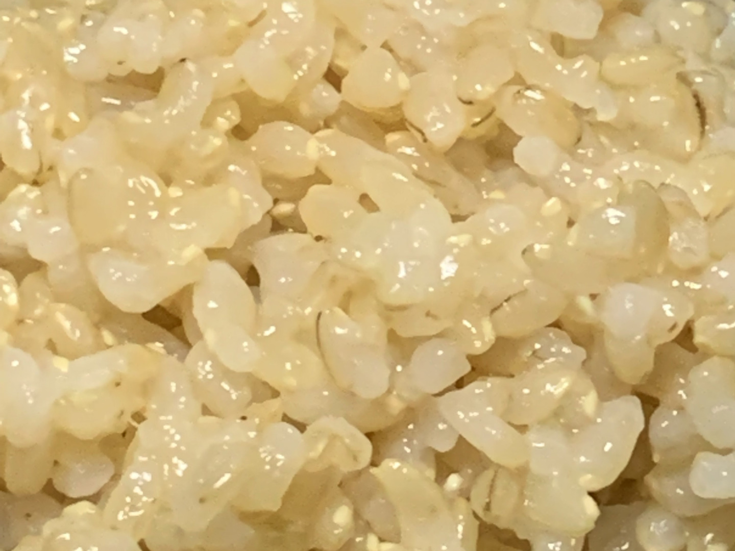 自然栽培【イセヒカリ】玄米20kg(5kg×4) 令和6年度兵庫県産 農薬