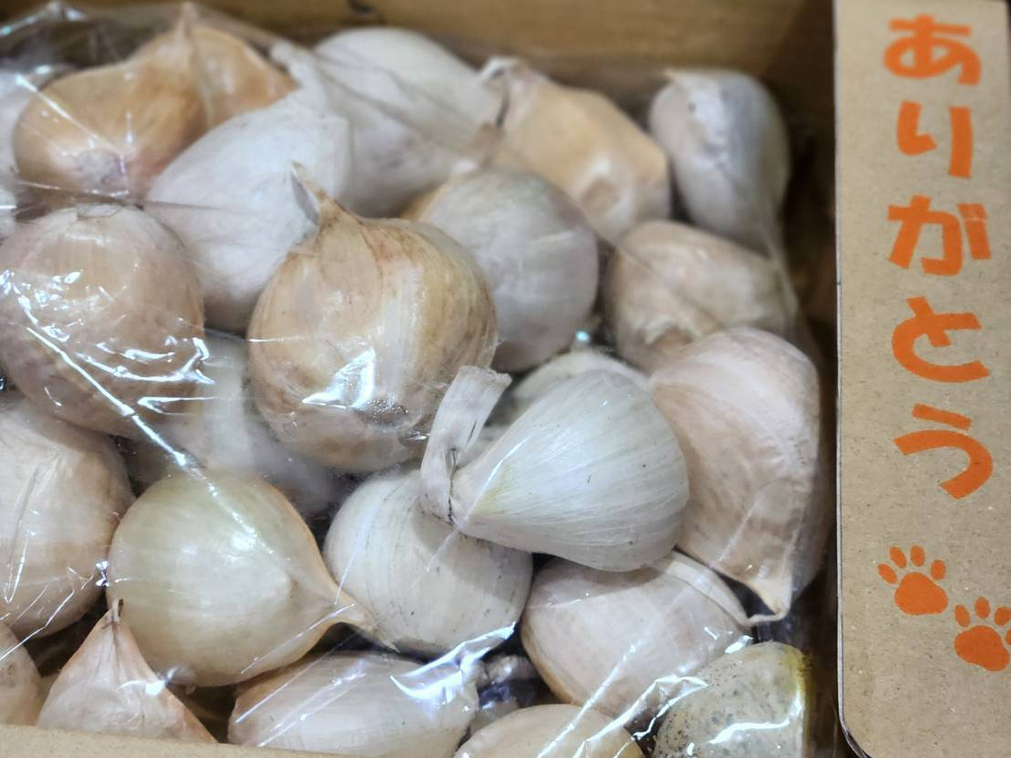 スペシャル特典 ジャンボにんにく（剥き実）：長崎県産のジャンボにんにく｜食べ 野菜