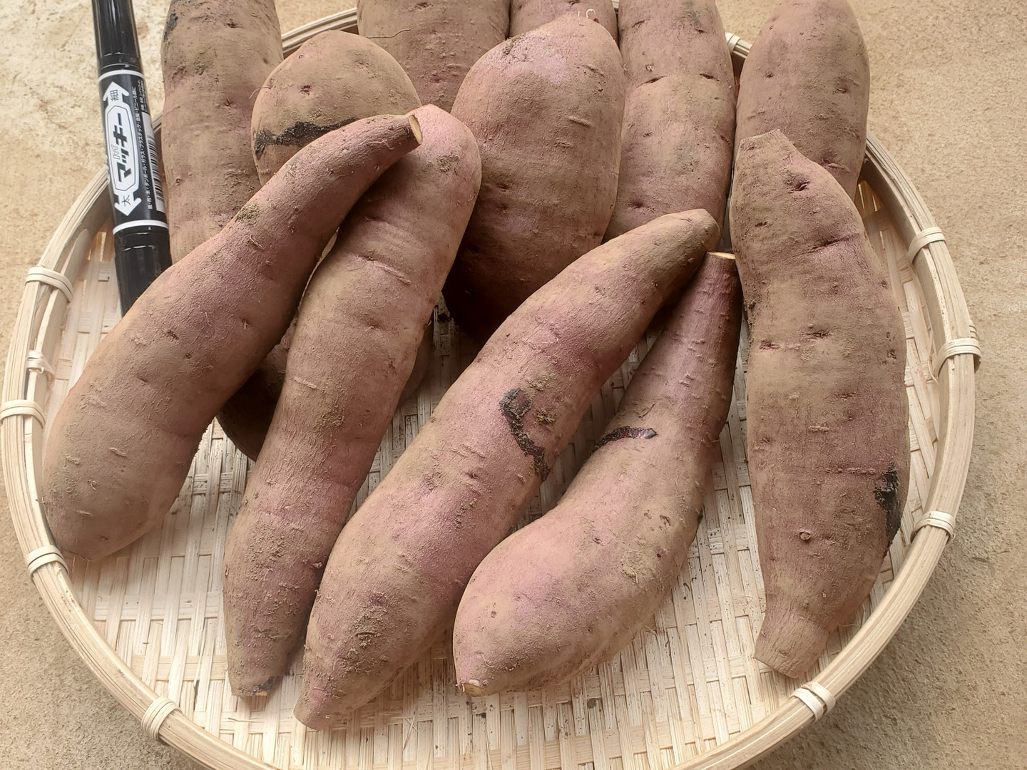 激安正規品 焼芋サイズ2.5kgしっとり食感！熟成済べにはるか：茨城県産のべ 野菜