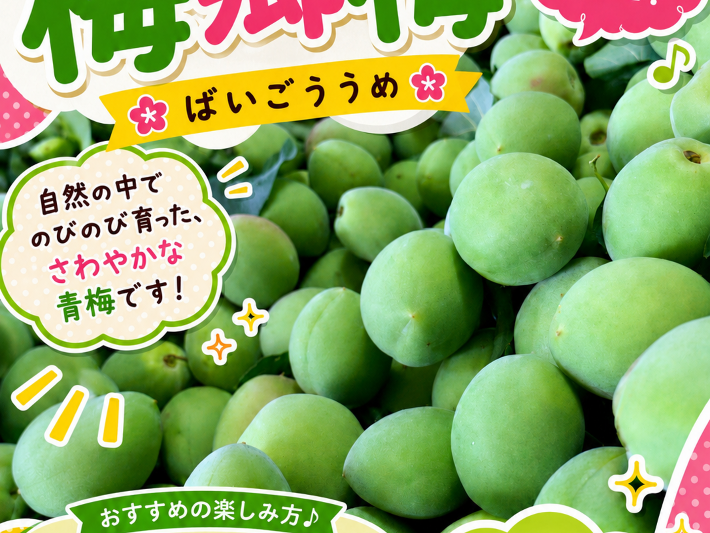 期間限定】【梅郷】梅の香り 2キロ：熊本県産の梅郷｜食べチョク｜産地 