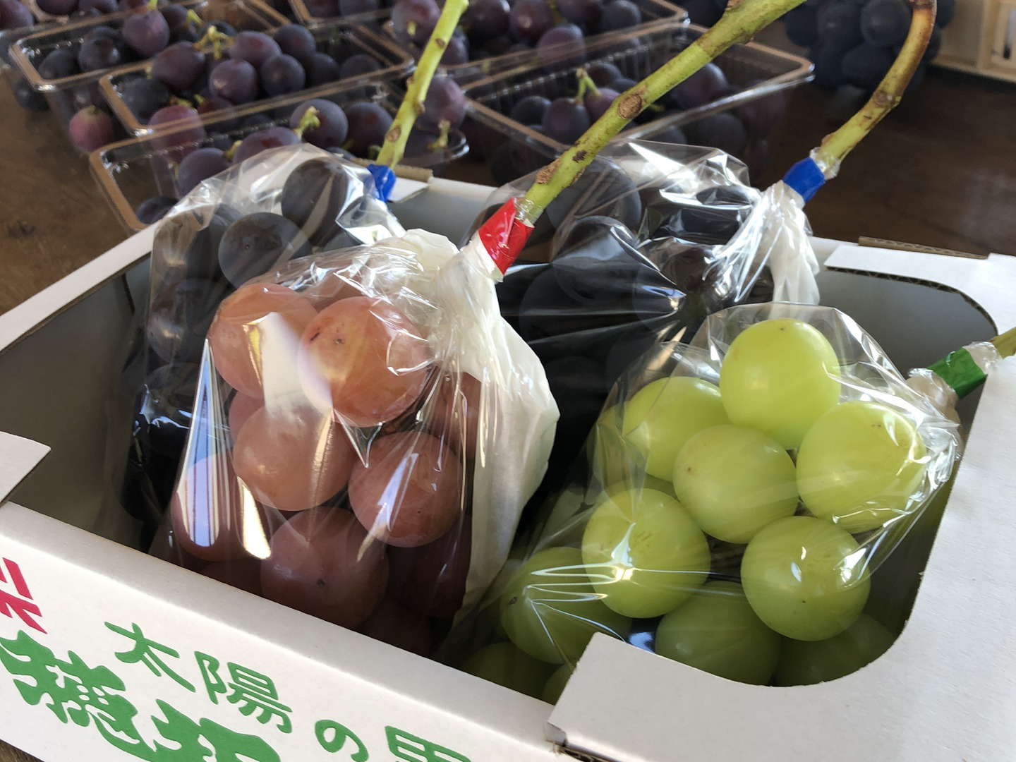 山梨県産！新鮮なシャインマスカット 4kg 落札後に収穫!! 数量限定】高品質なROOTS FARMシャインマスカット 1.5kg以上 2