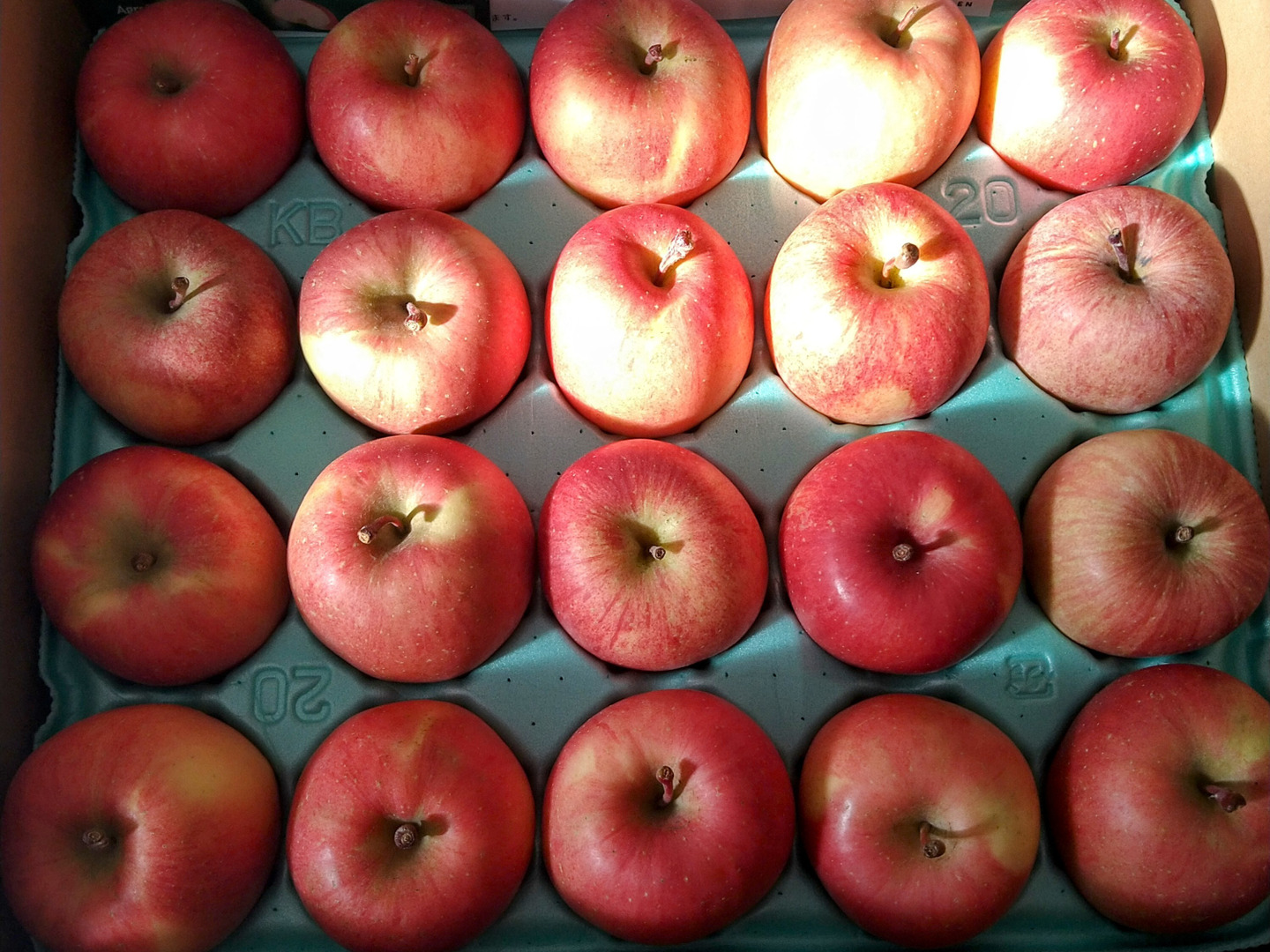 キズなし良品🍎低農薬【サンふじ】たっぷり10kg 皮ごとおいしい