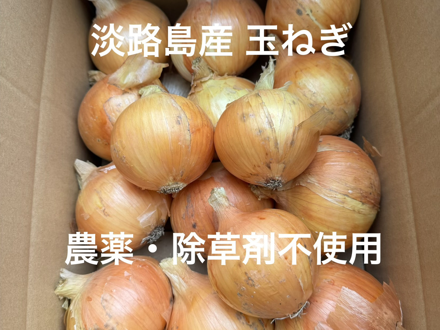 小玉】農薬、除草剤不使用！淡路島玉ねぎ10kg 【生で食べてみて