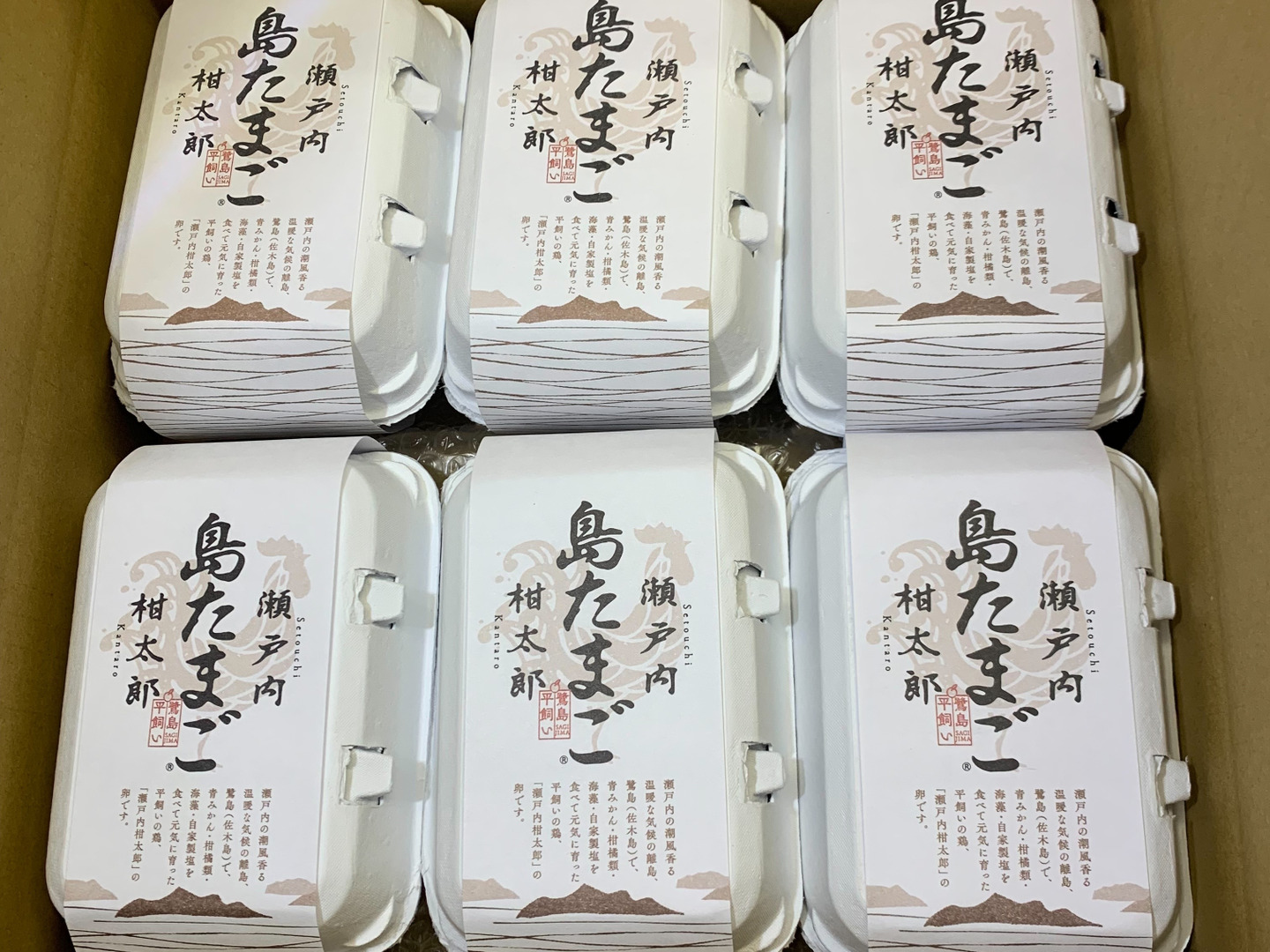 【レビューを書けば送料当店負担】 a36b60117e1959d49ab2feecda91ce その他