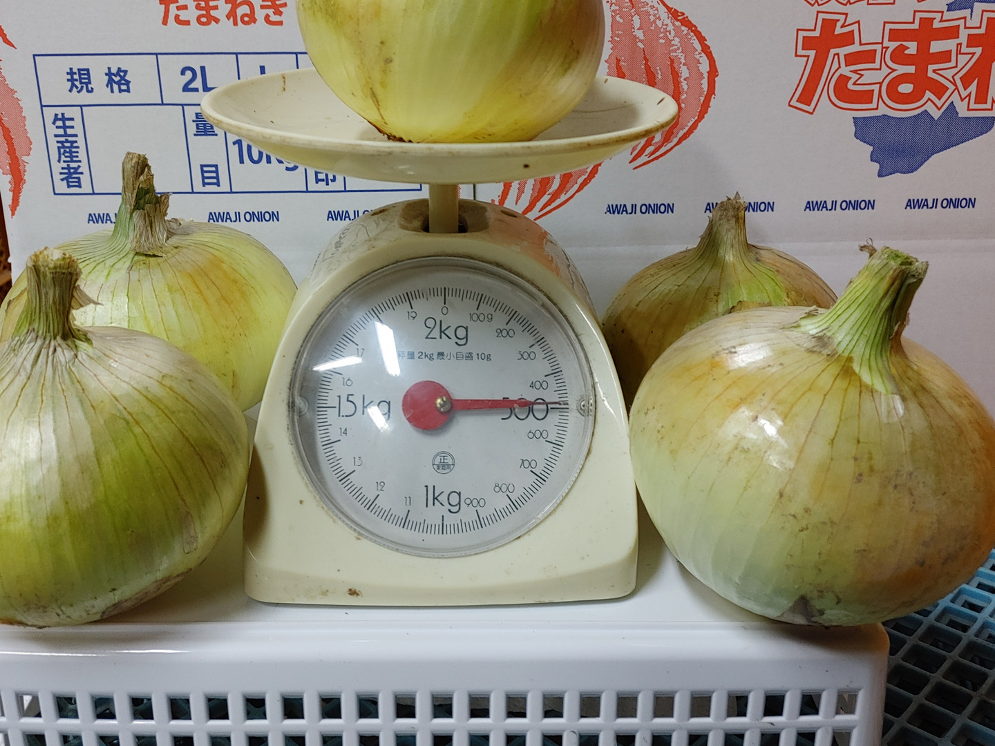 大好評，地層が違う淡路島、訳訳あり新玉ねぎ、七宝早生(風袋