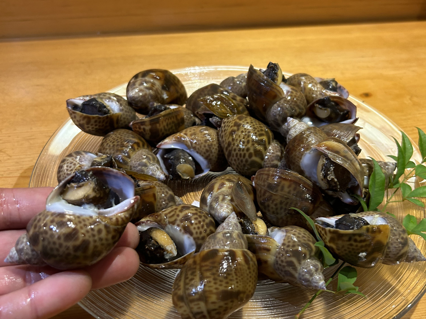 最新作売れ筋が満載 高級貝！】冷凍黒バイ貝！500g×2袋/下処理済み：千葉県産の 魚介