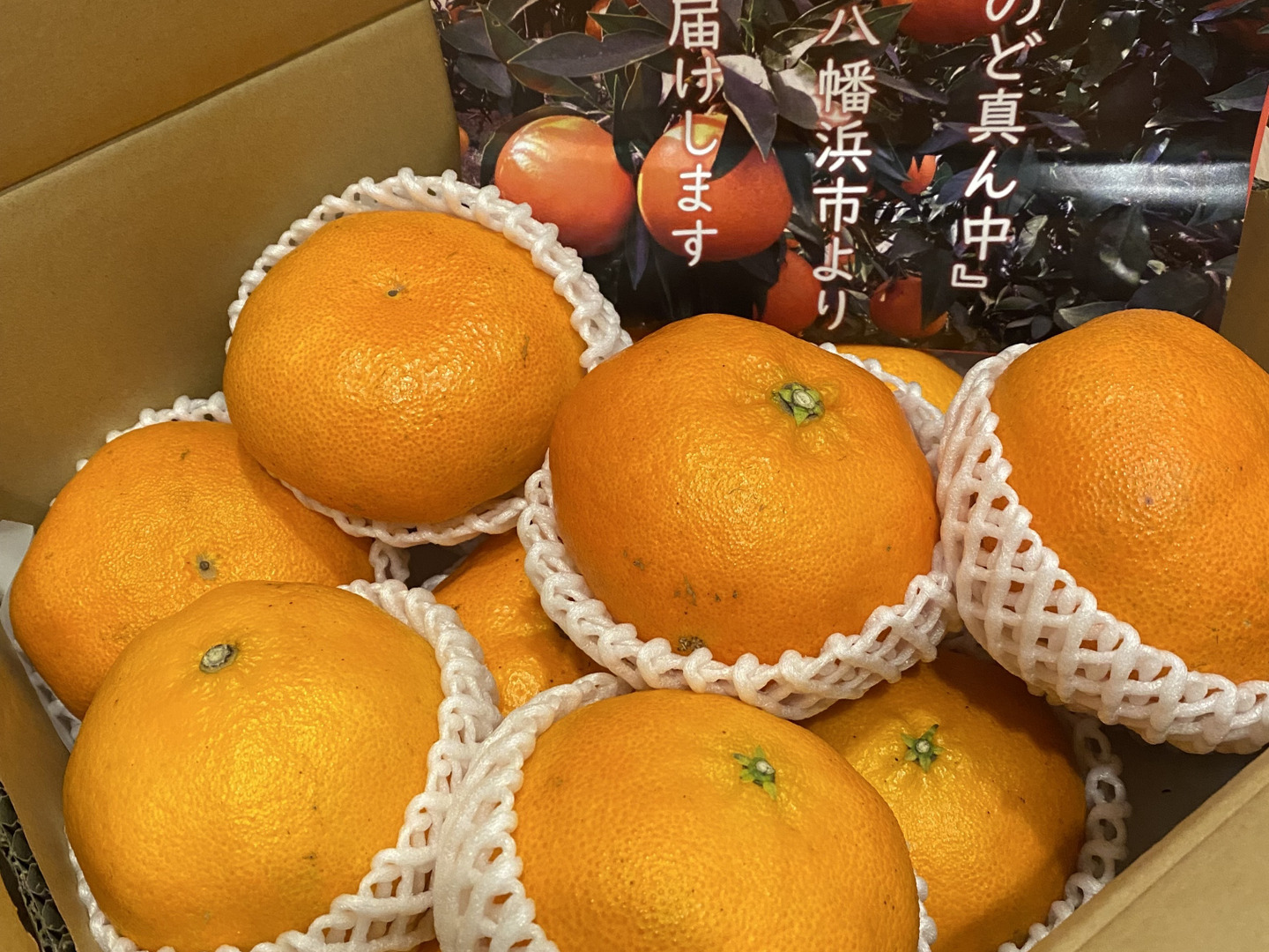 数量限定】愛媛みかん 甘平 家庭用5kg - 愛媛宇和島 山本農園