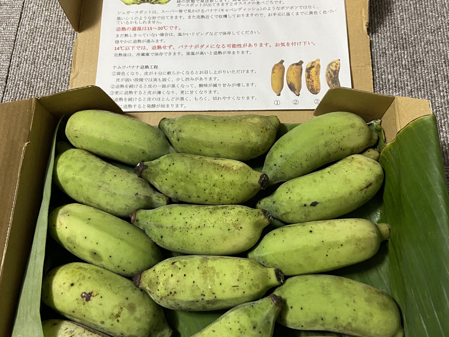 特別価格！】沖縄産ナムワバナナ1kg：沖縄県産のその他バナナ