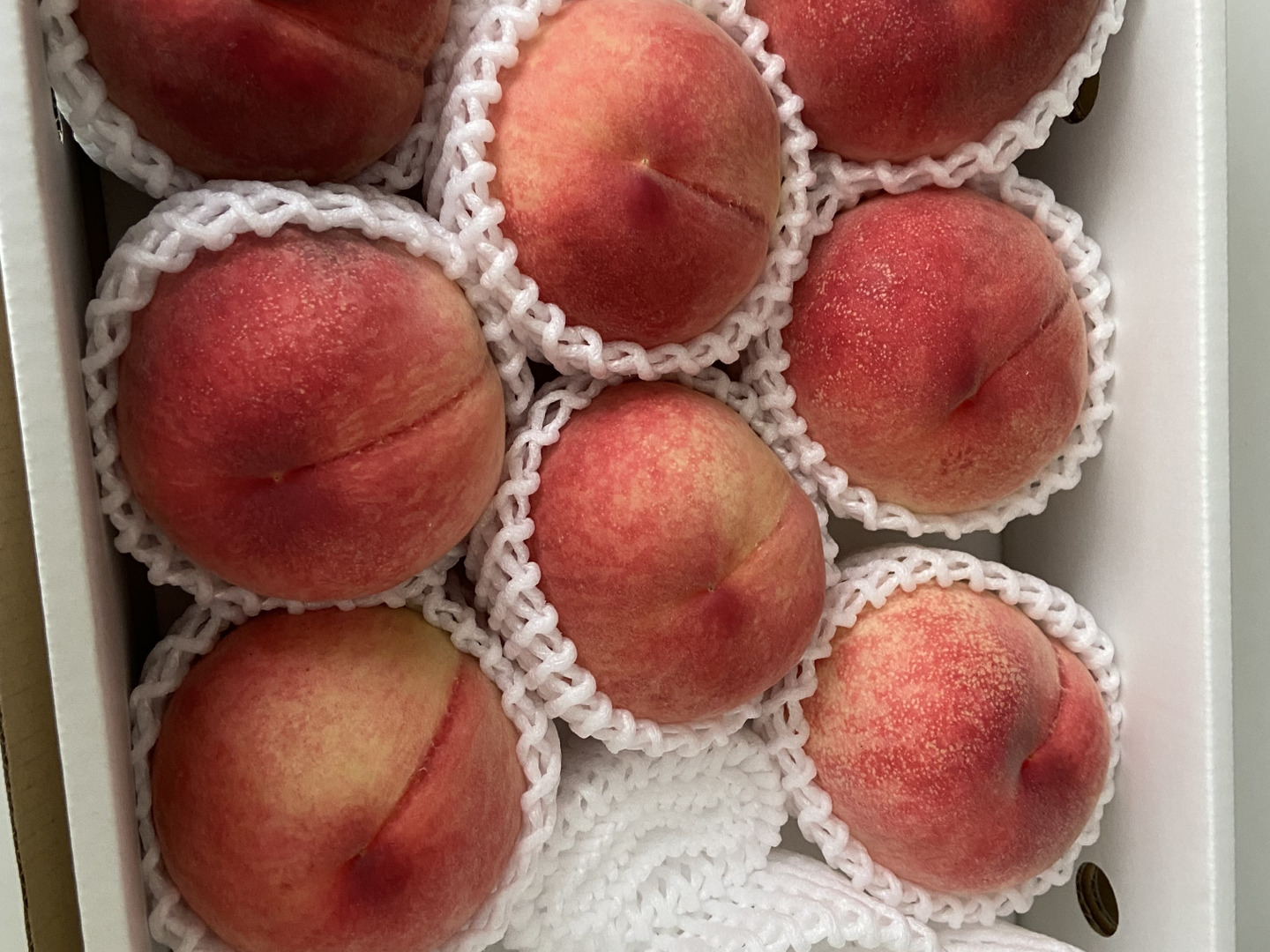 あら川の桃 品種おまかせ 大箱(10～13玉)【秀品】【夏ギフト