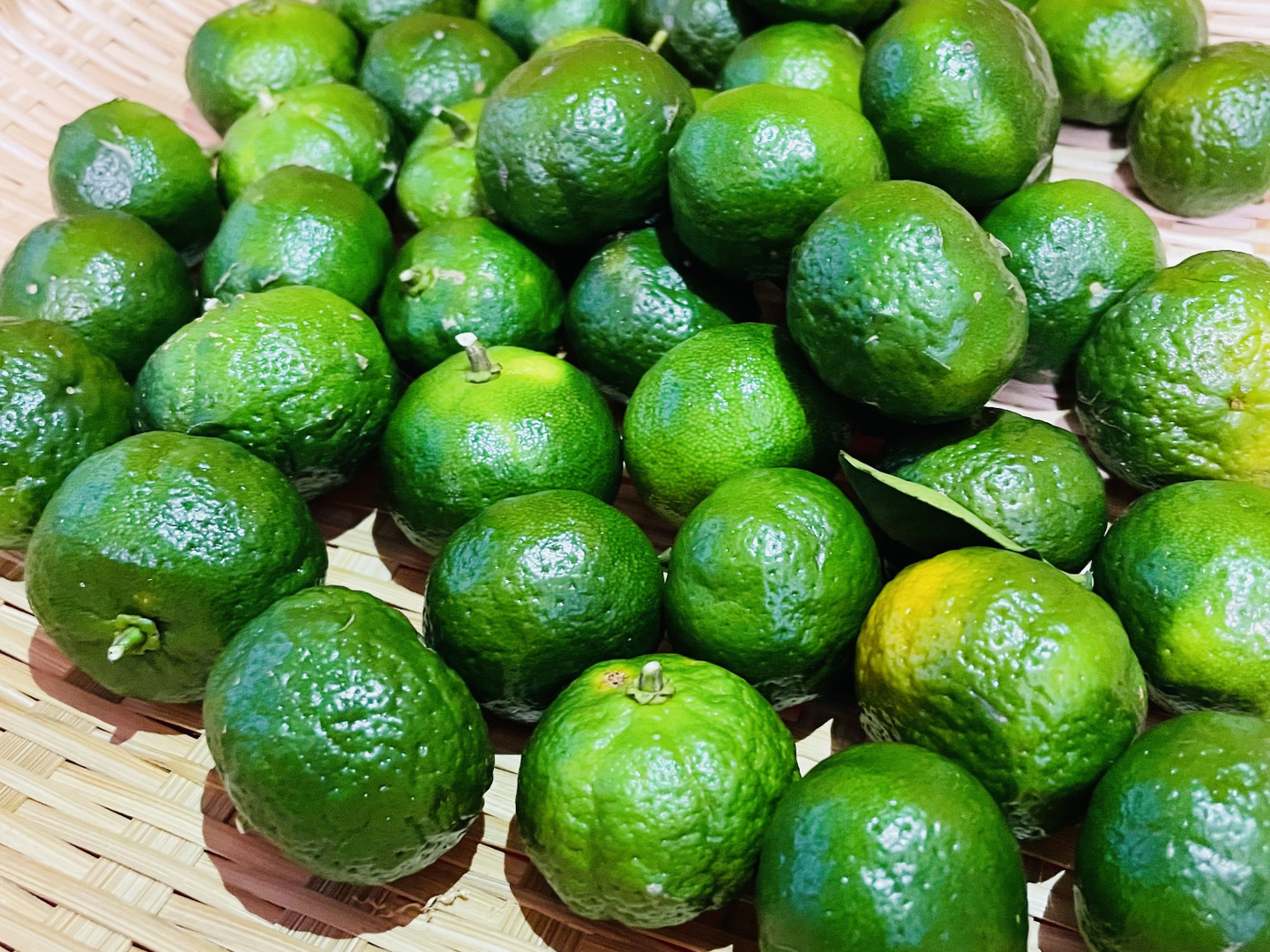 夏限定】沖縄県産青シークァーサー約1kg：沖縄県産のみかん