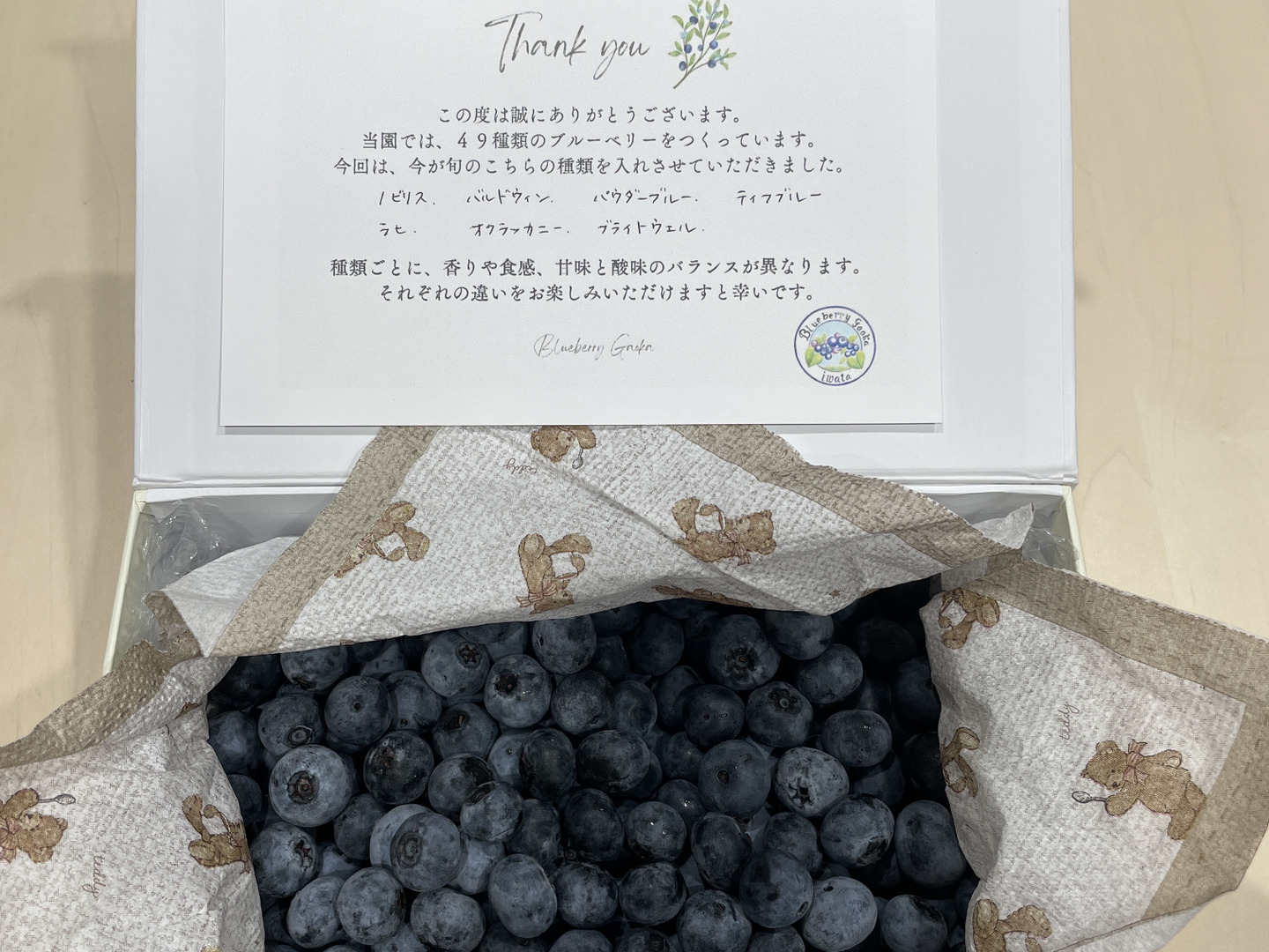 極上】完熟 生ブルーベリー！ 甘くてジューシーな 500g：静岡県