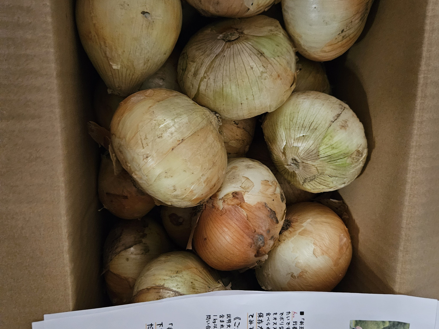 ★日本の職人技★ 食べチョク最安値】【収穫数限りで終了】10kg☆1400円！大豊作 野菜