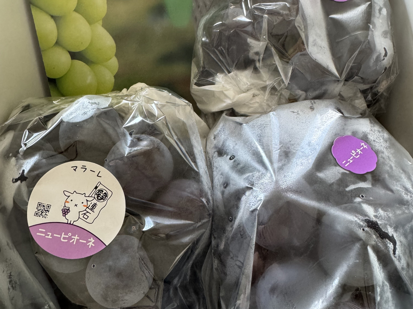 訳あり！家庭用『ニューピオーネ』岡山県産 1.8~2kg：岡山県産の