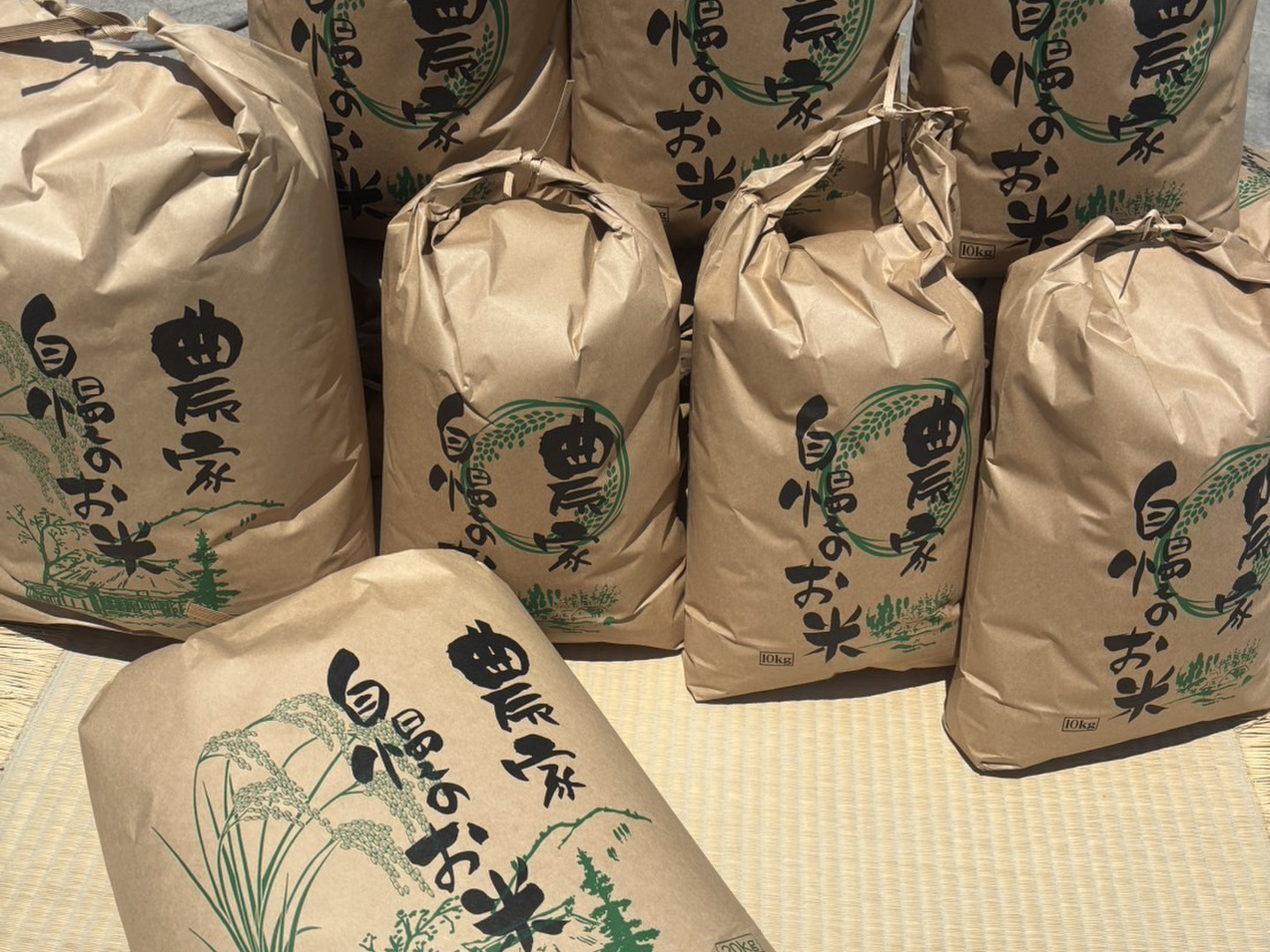 紀州キヌヒカリ　10キロ　玄米 令和6年度産 新米玄米キヌヒカリ10kg