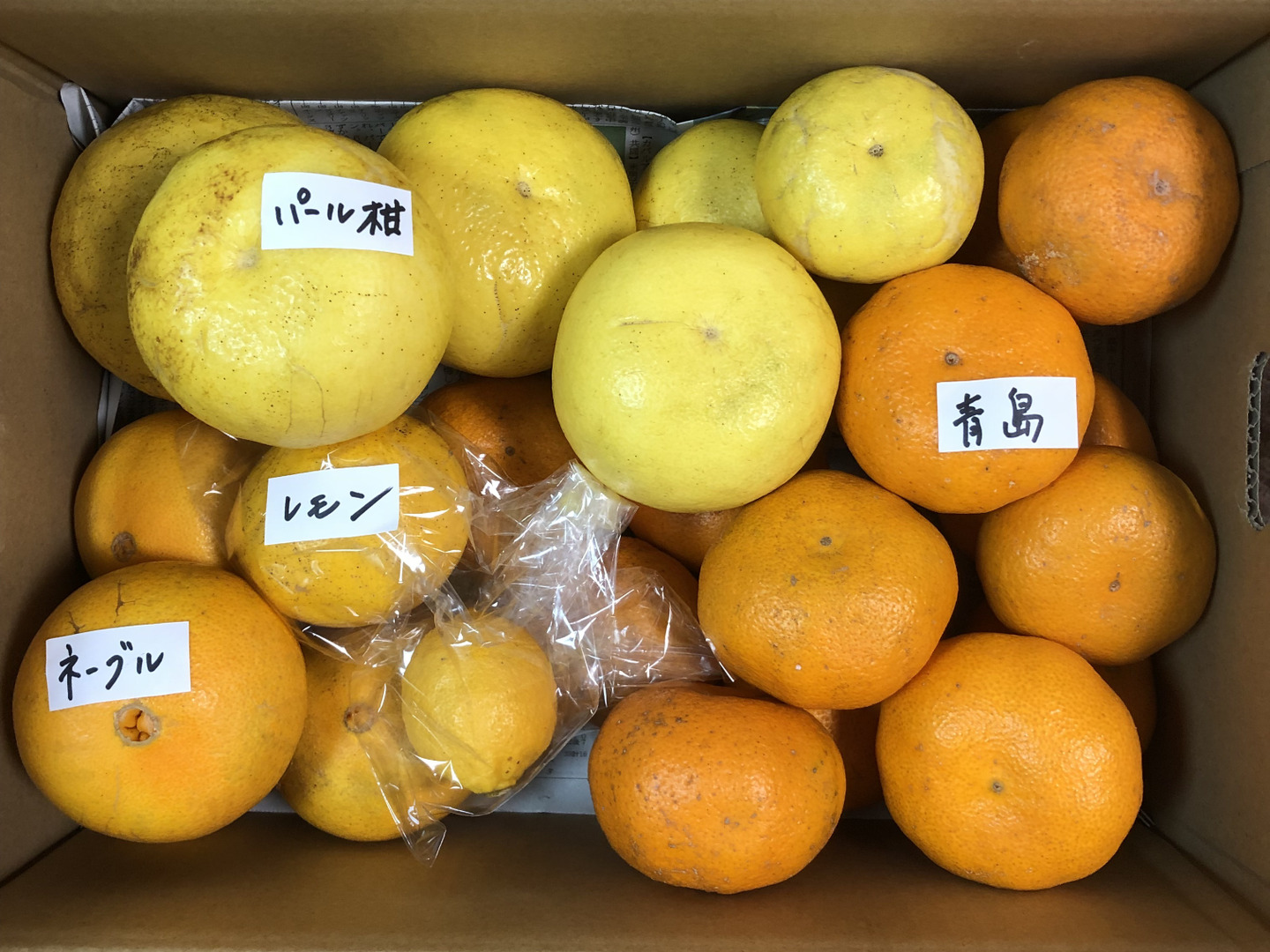 東洋ガラス みかんせい グラスパズル レア 希少 立体パズル