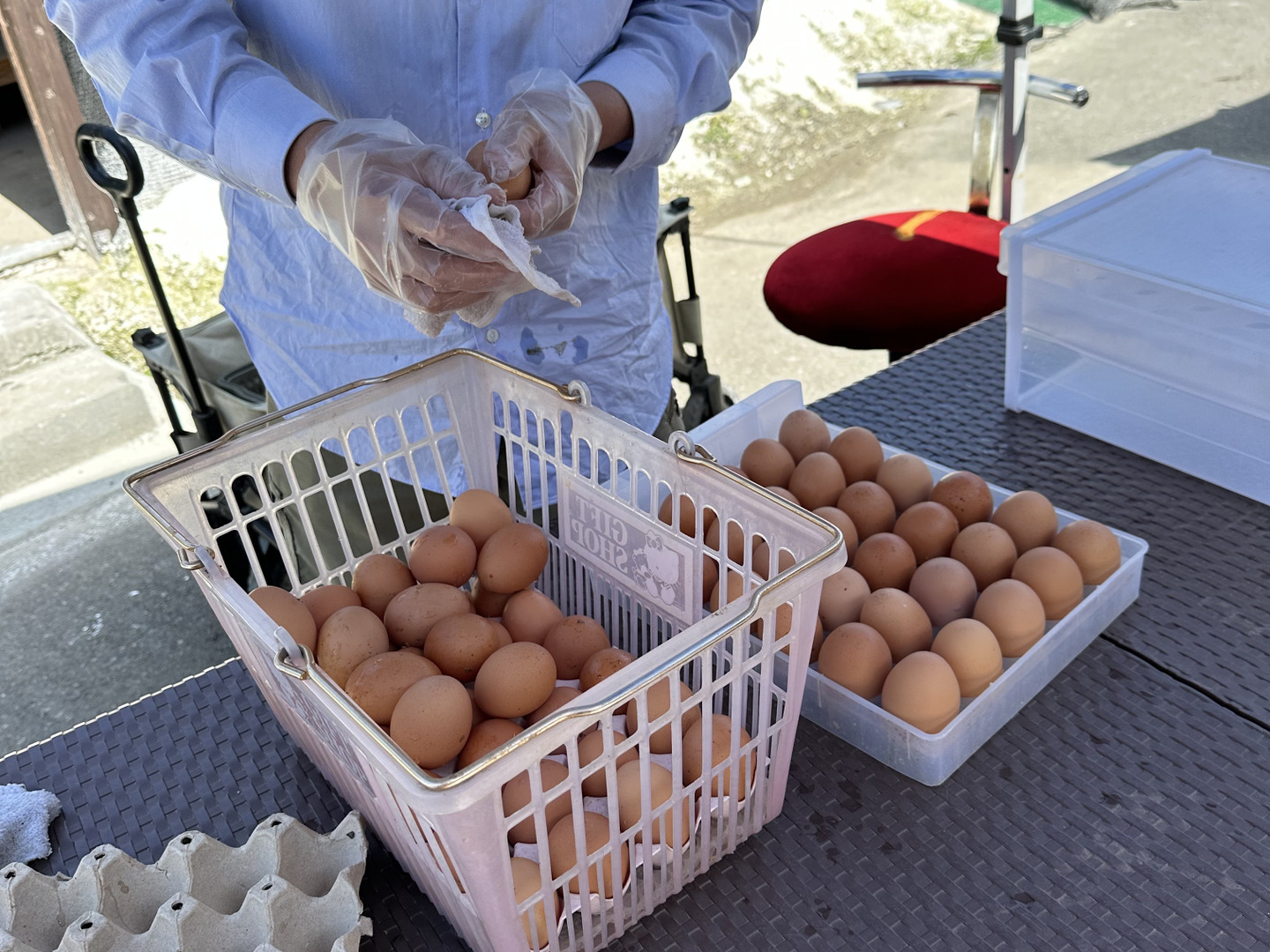 200個入り　宮下養鶏の朝採れ平飼い卵 横須賀西海岸「絶品こだわりの平飼い卵」！｜湘南のライフ