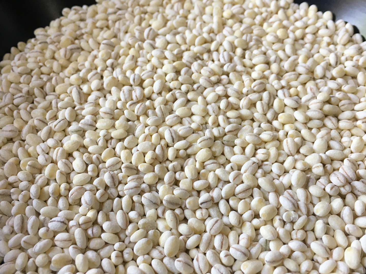 まるで白米！もち麦キラリモチ！10kg：埼玉県産のもち麦