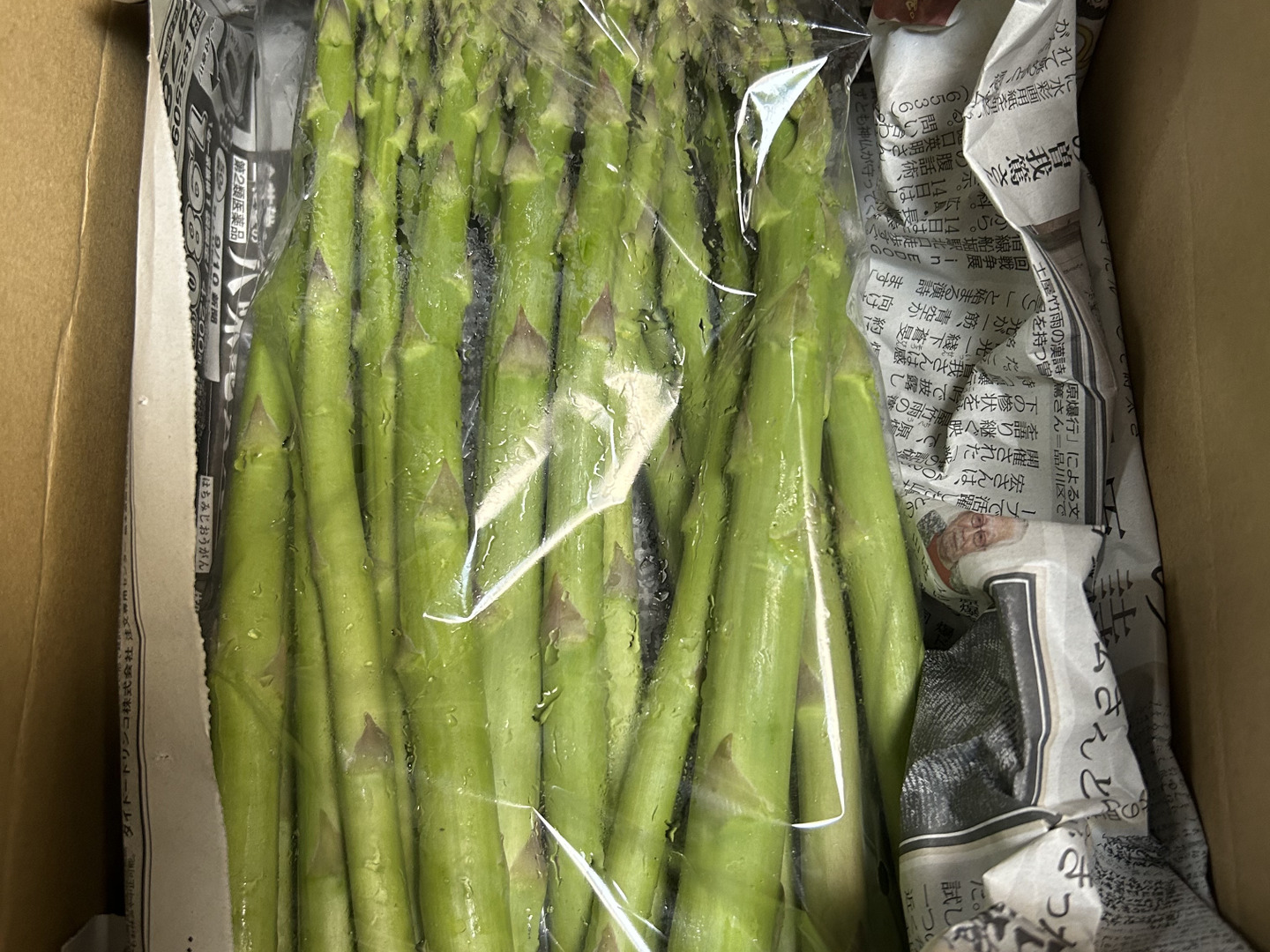 春アスパラ500g：茨城県産のその他アスパラガス｜食べチョク｜産地