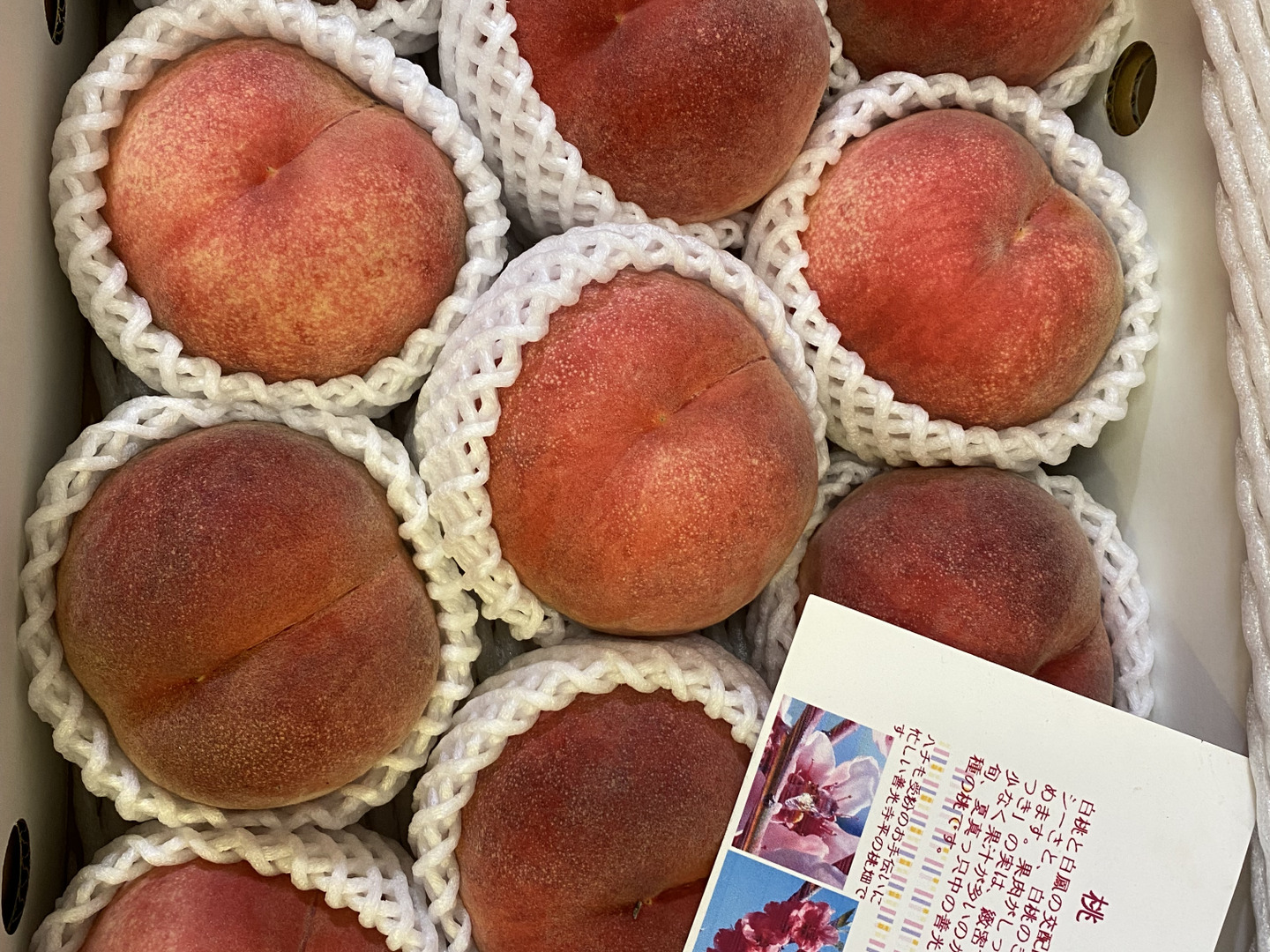④若桃 箱込み8kg ③若桃 箱込み8kg 本日発送 - メルカリ