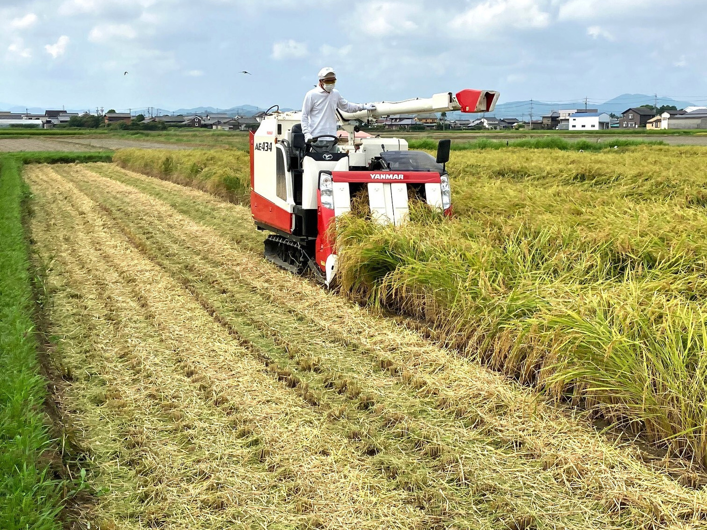 新米！【令和6年産】もっちり甘い！三重県松阪産コシヒカリ