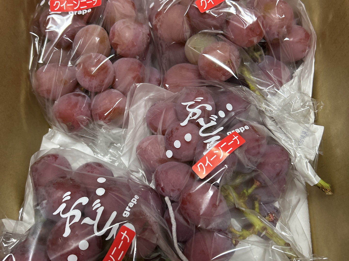 よろしくお願いします　クイーンニーナ約4.5kg わけありクイーンニーナ_1kg | FarmぶどうのSHIMIZU