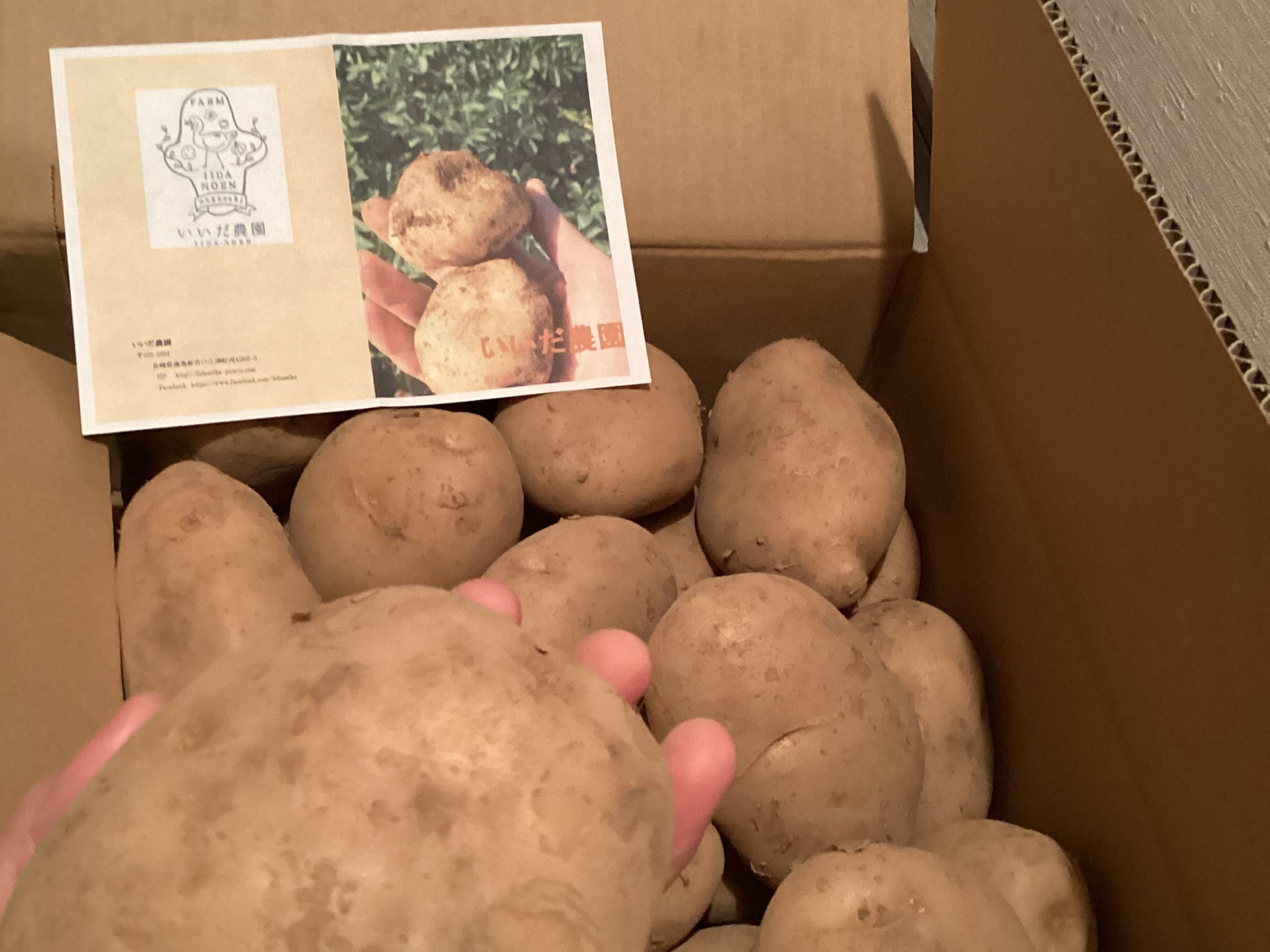 【SALE】 b87374ca9c4f2dbda40c6711ef36e8 野菜