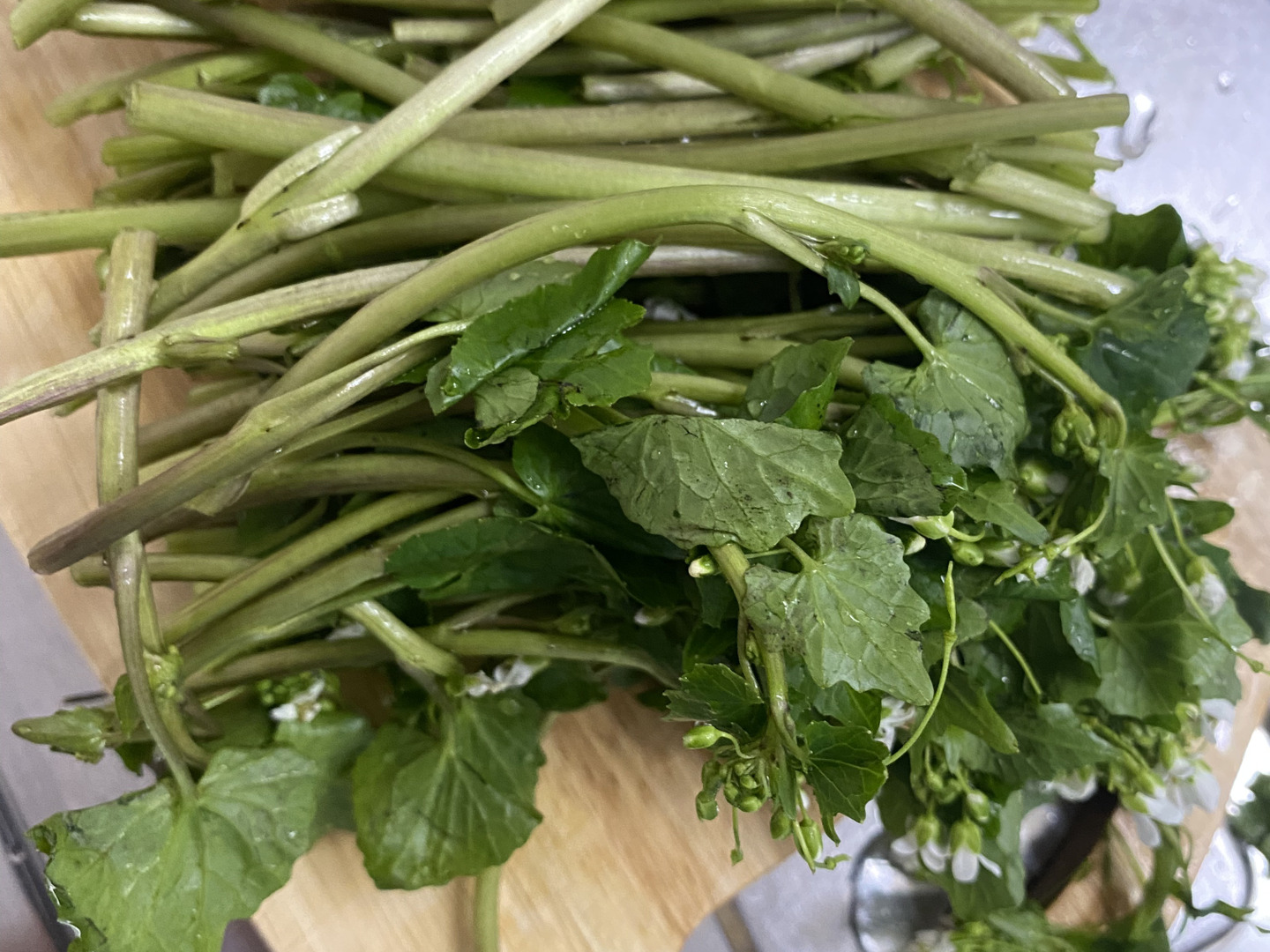◎わさびの花芽1kg ◎時期物、期間限定：岩手県産の野菜｜食べ