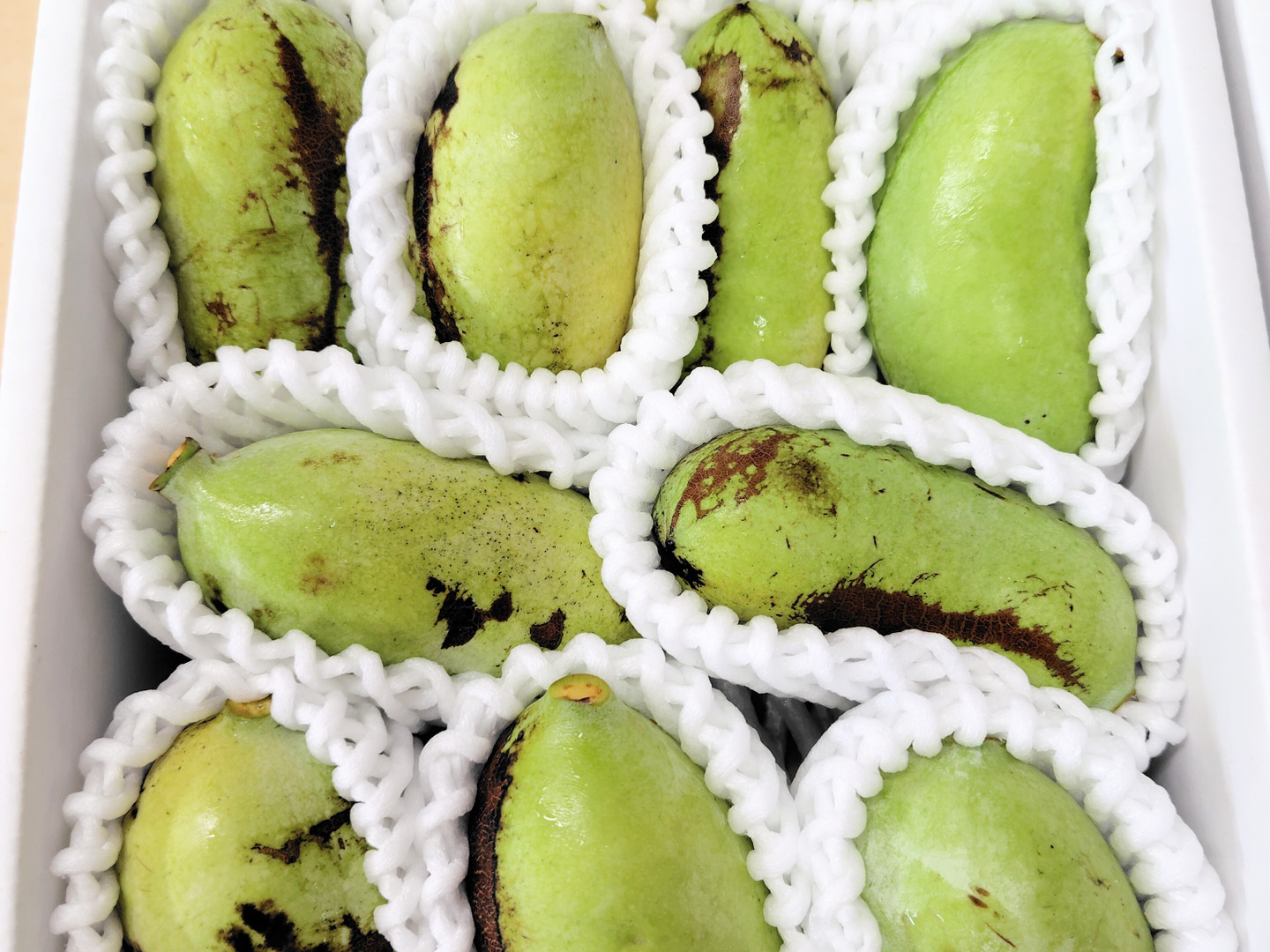 幻のポポー 約900g(11〜16個)：山形県産のその他果物｜食べチョク