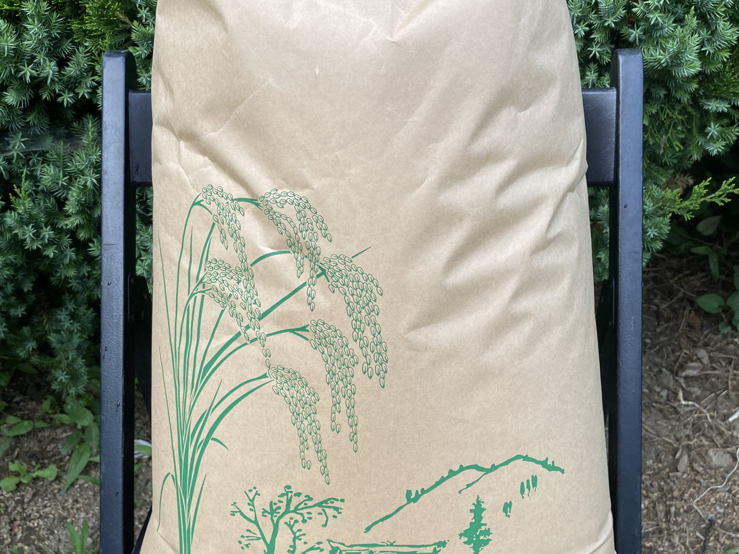 Qoo10] 暮らし応援！ アメリカ産米 20kg(1