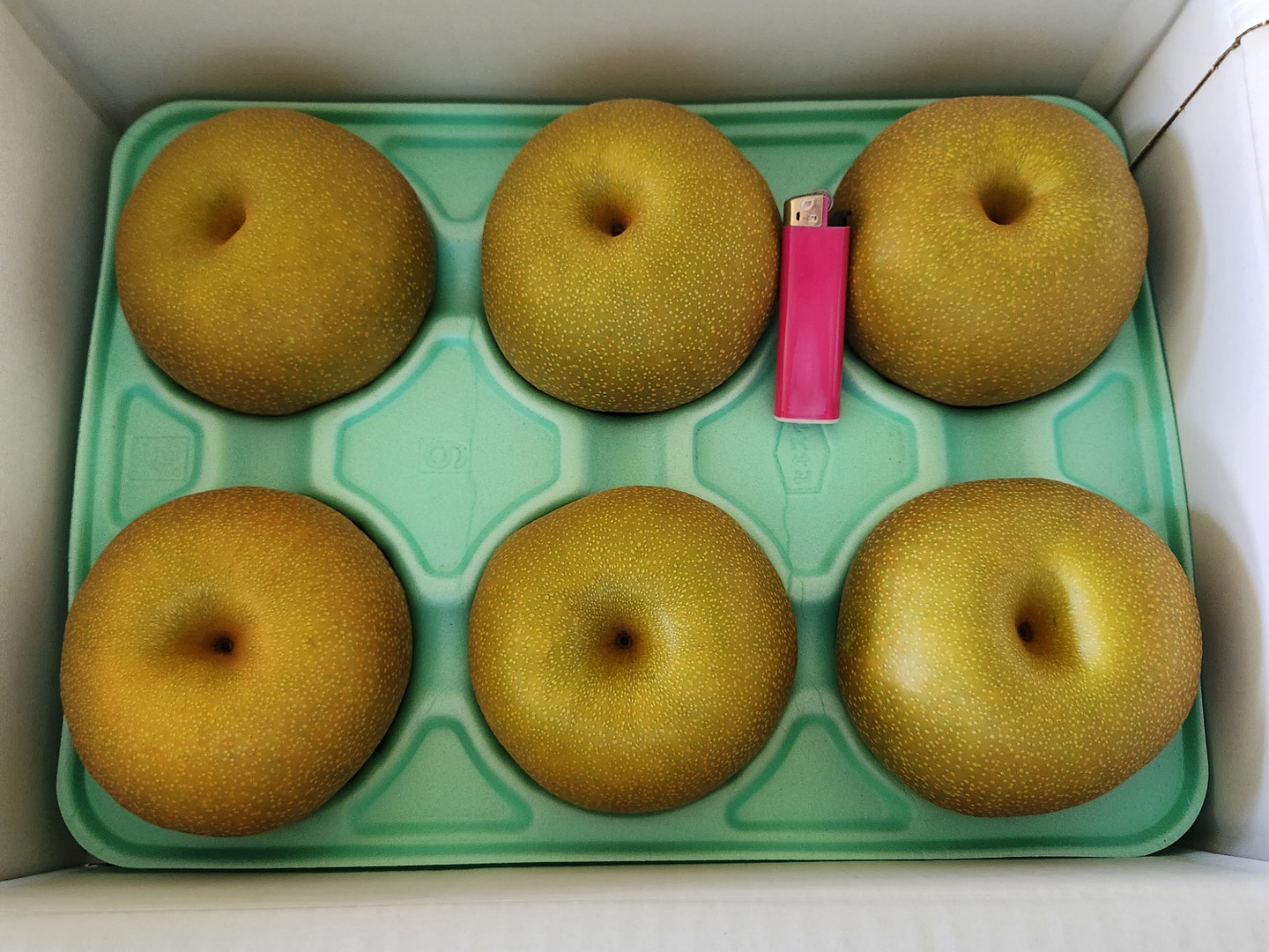 人気の幸水【贈答品】3kg箱 甘くてジューシー！8月発送！：栃木県産の