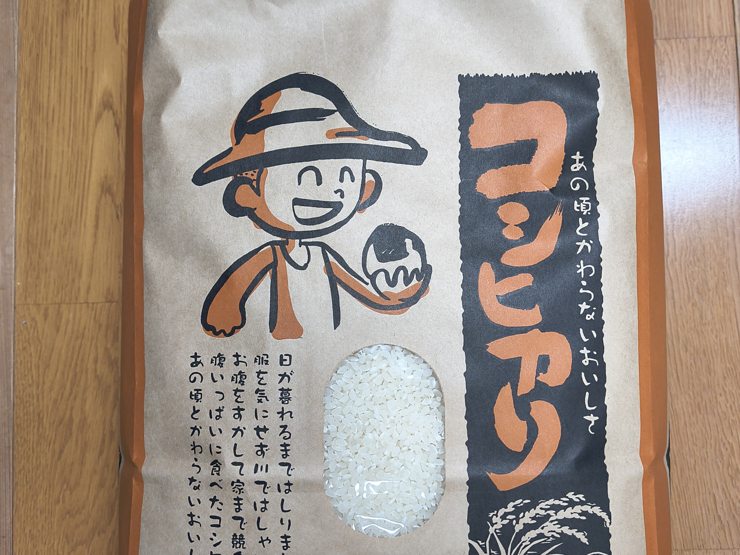 令和7年産】晴れの国岡山産コシヒカリ精米済み10kg：岡山県産の