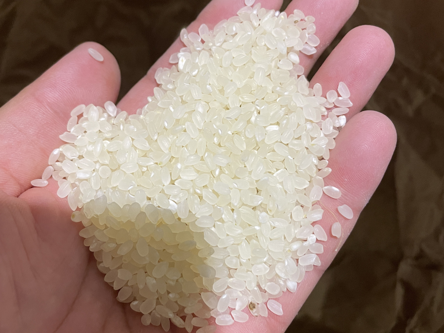 令和４年産コシヒカリ、玄米３０キロ（鳥取県産) 予約🌾【令和7年産新米】高知県産 コシヒカリ 30キロ 玄米：高知