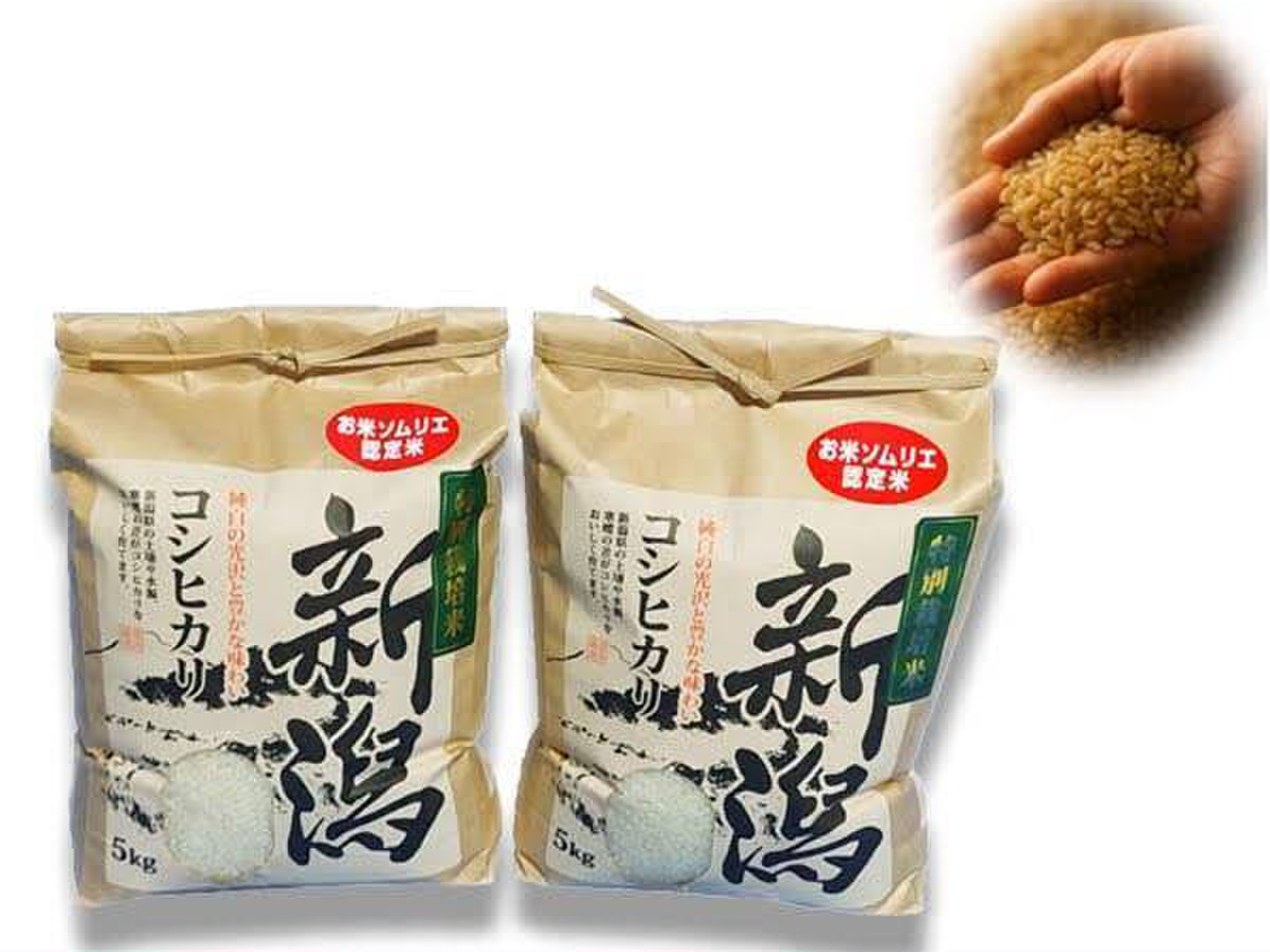 新米🌾味に自信あり玄米🌅令和8年🌾5kg×2🍚10kg🌾お米ソムリエが作る