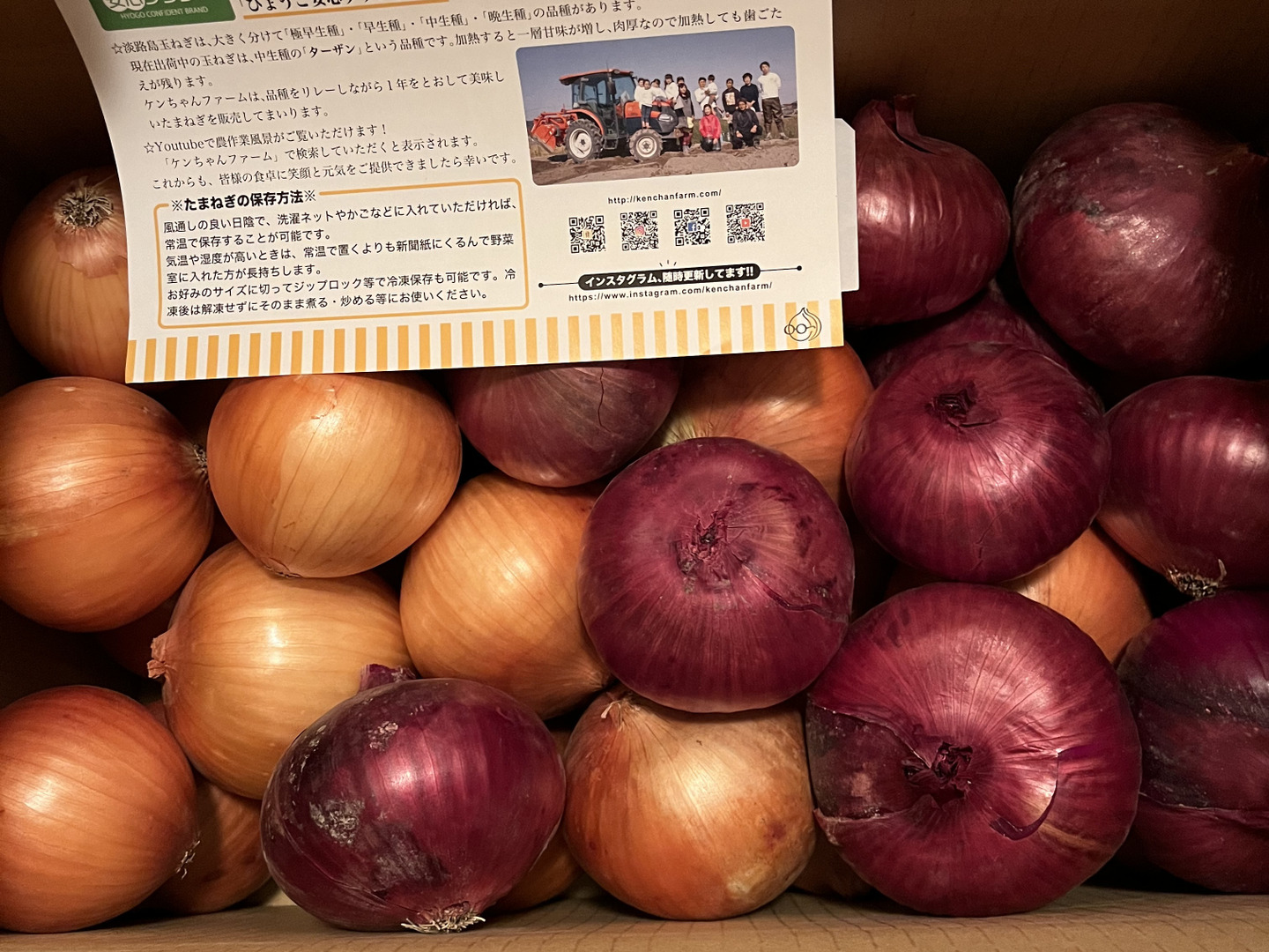 ワールド オンラインストア 期間限定！淡路島たまねぎ☆食べ比べ☆セット 10kg：兵庫県産の 野菜