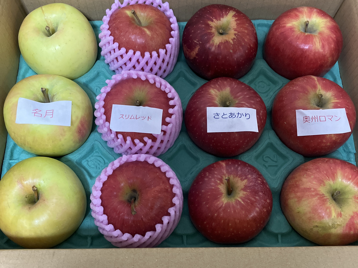 本州宛配送限定　信州産　選べる家庭用 リンゴ約１５キロ リンゴ食べ比べ🍎3キロ箱 6玉〜15玉サイズ 商品ID48414 長野県