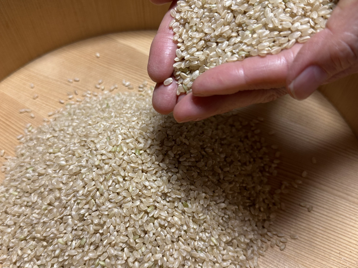 令和6年 特別栽培米 神戸のまごころヒノヒカリ 玄米 5kg：兵庫