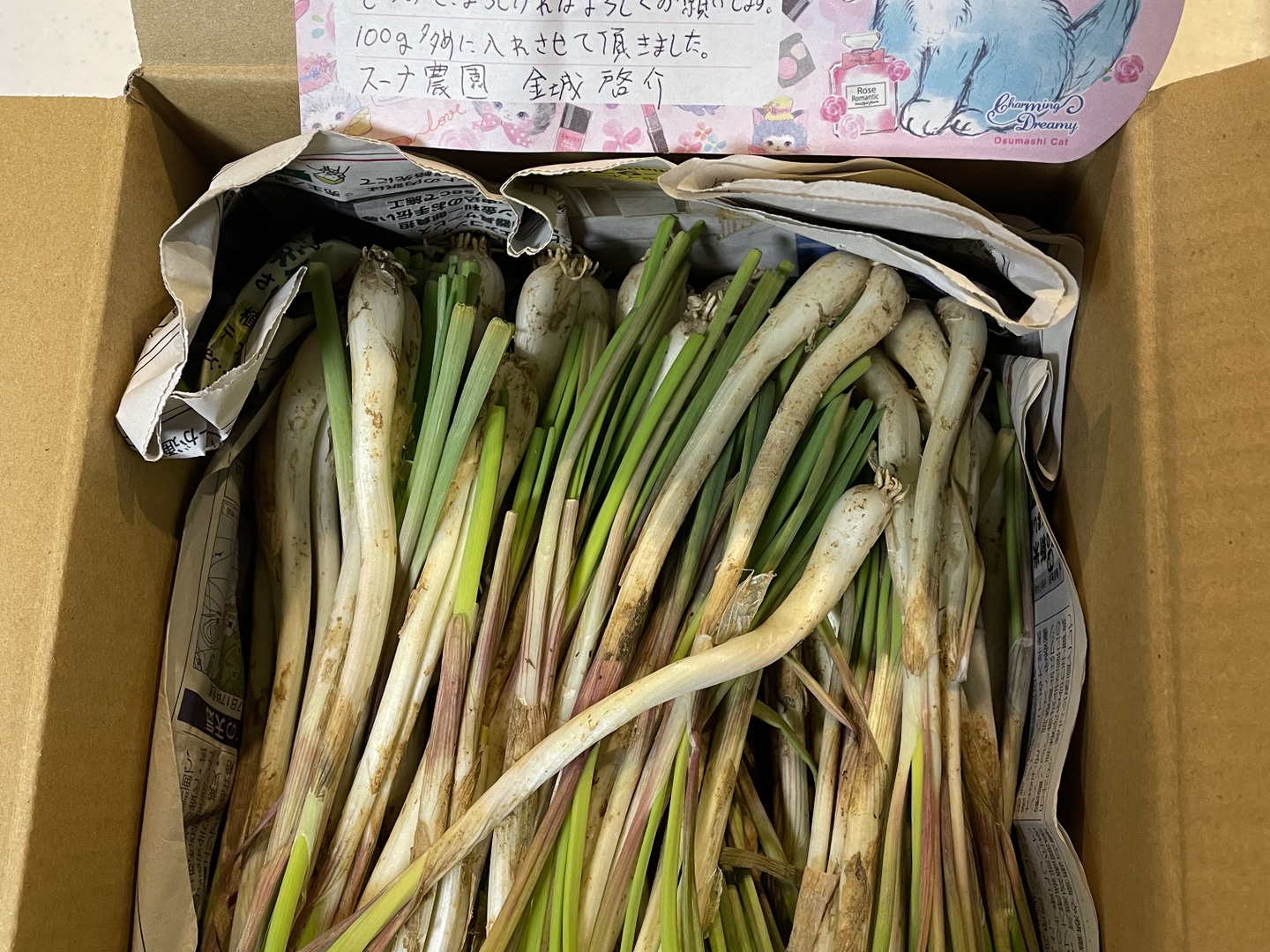 楽天市場】☆2025年のご注文開始☆ 沖縄県産 島らっきょう 3kg