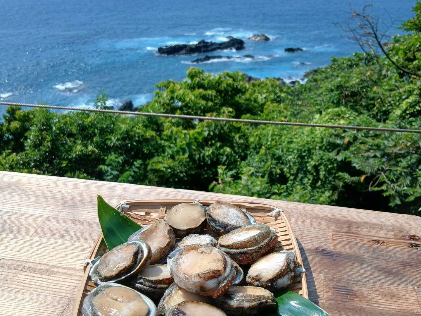 限定3セット】屋久島産 天然磯貝 500g｜採れたて急速冷凍・刺身でも