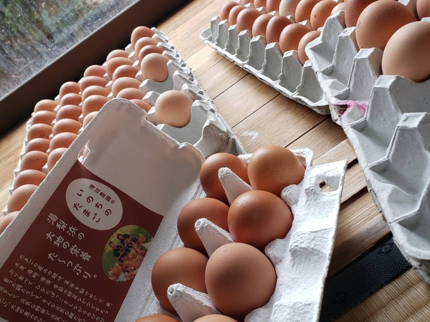 海外ブランドアウトレット通 のびのび平飼い『いのちのたまご』 10個入り×3パック：鳥取県産 その他