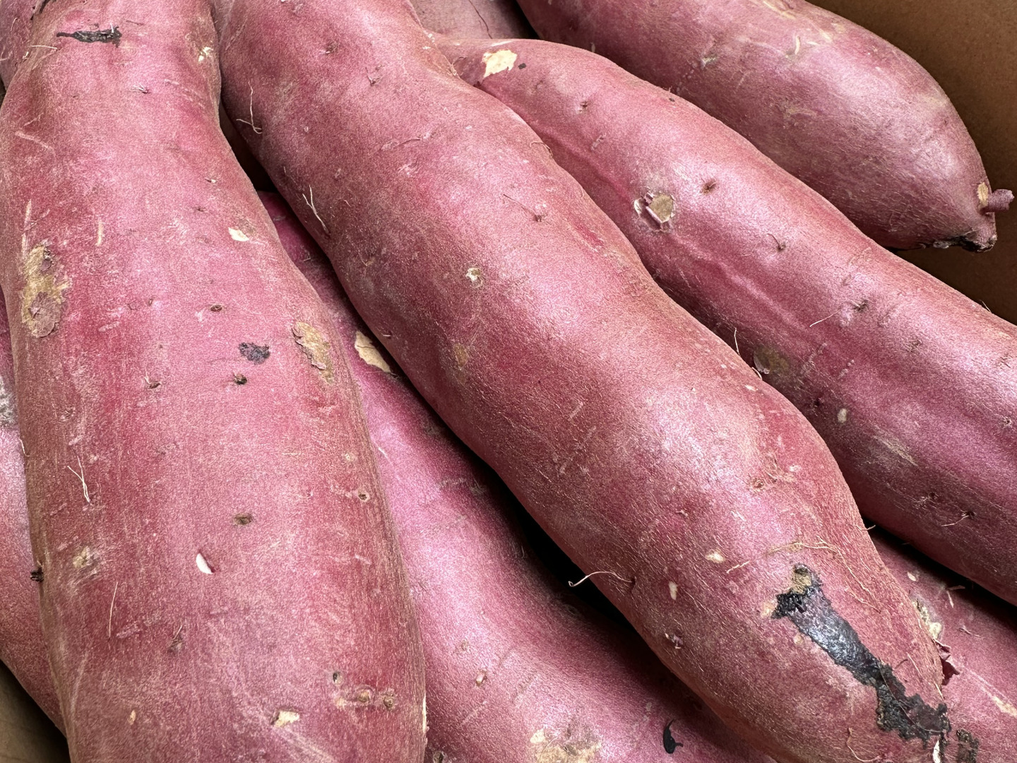 【信州産】超熟成さつまいも20kg