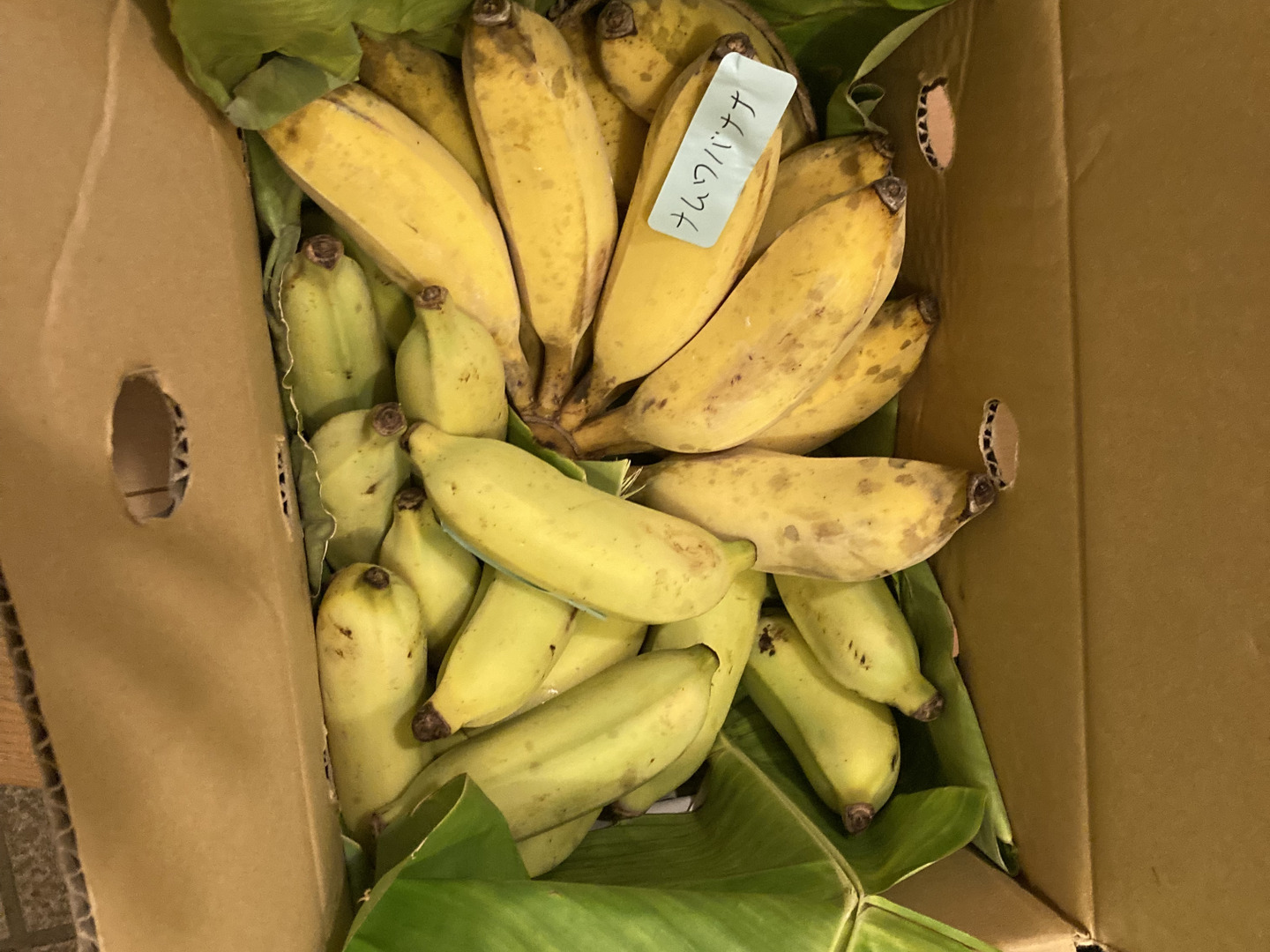韓国ブランド通販サイト 安心・安全！ナムワ＆ブラジルバナナ 計3.5kg：沖縄県産のジル 果物